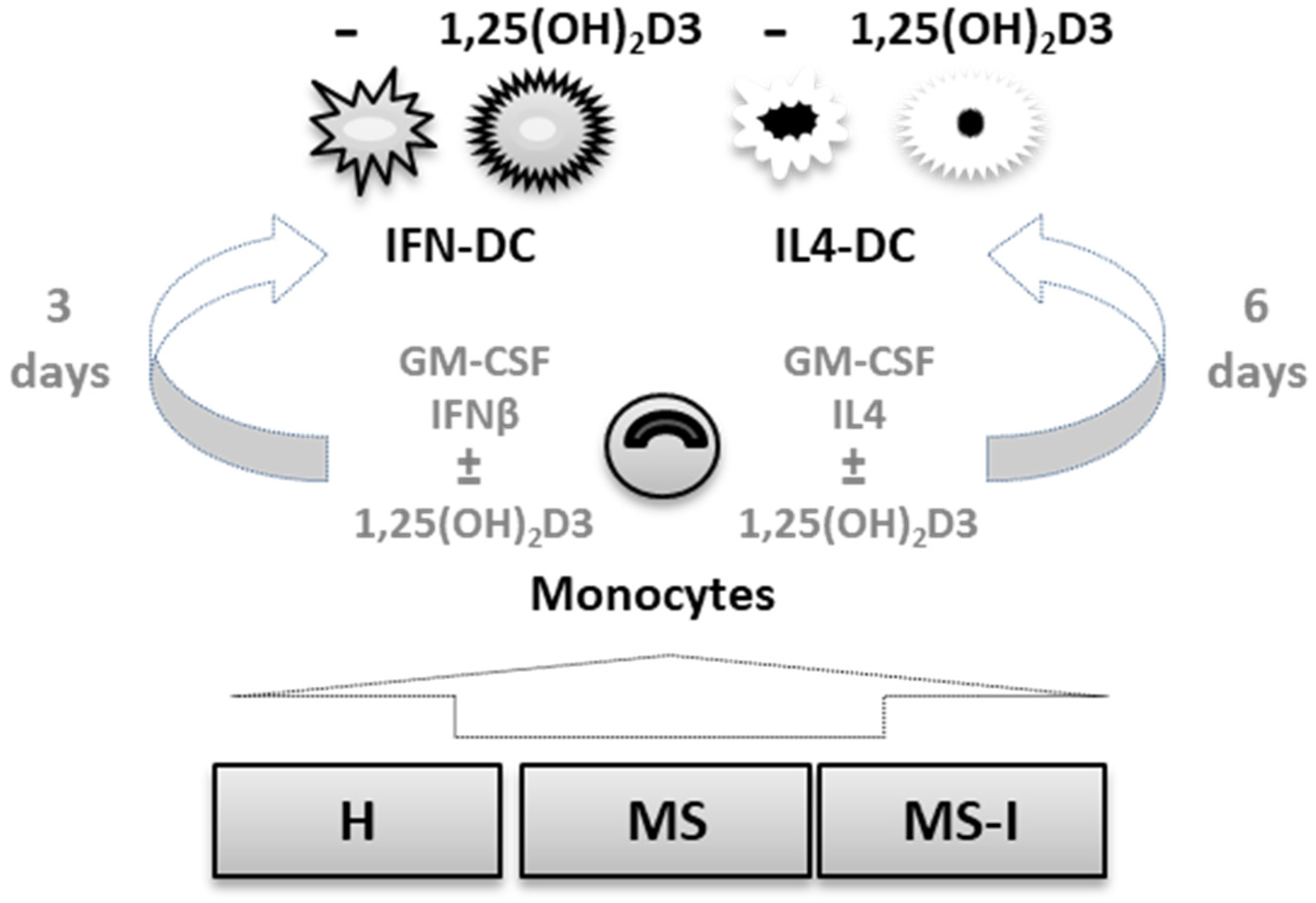 IJMS Free Full Text 1 25 OH 2D3 Differently Modulates The Secretory ijms-free-full-text-1-25-oh-2d3-differently-modulates-the-secretory
