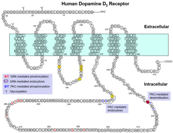 Unveiling the Differences in Signaling and Regulatory Mechanisms ...
