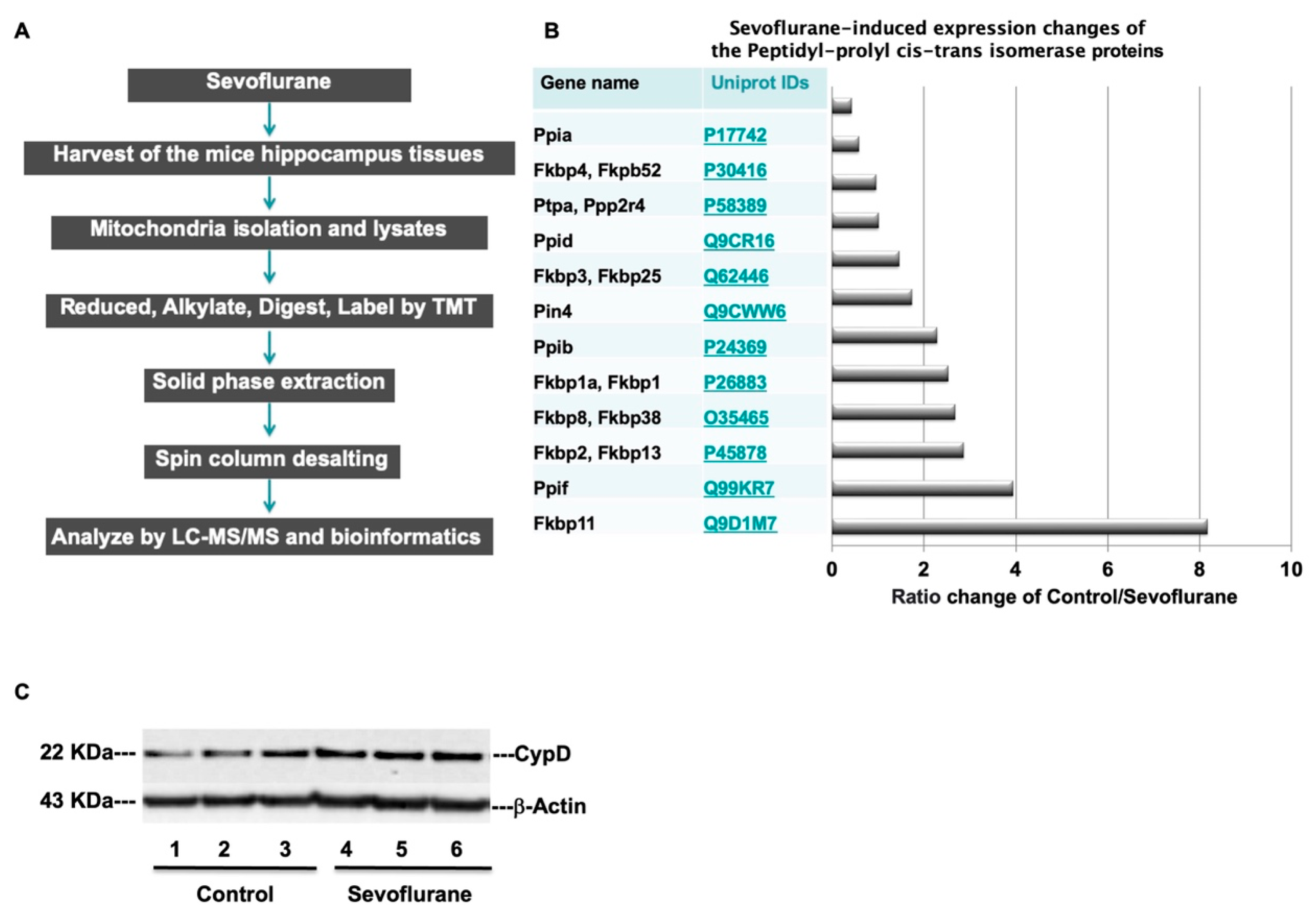 Ijms 24 06746 g005 Ijms 24 06746 g005