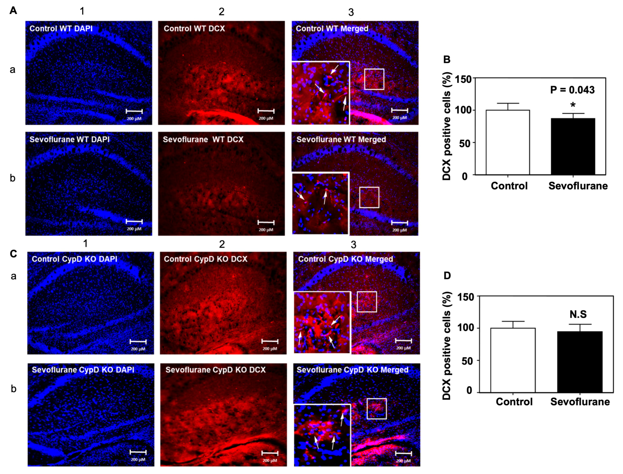 Ijms 24 06746 g006 Ijms 24 06746 g006