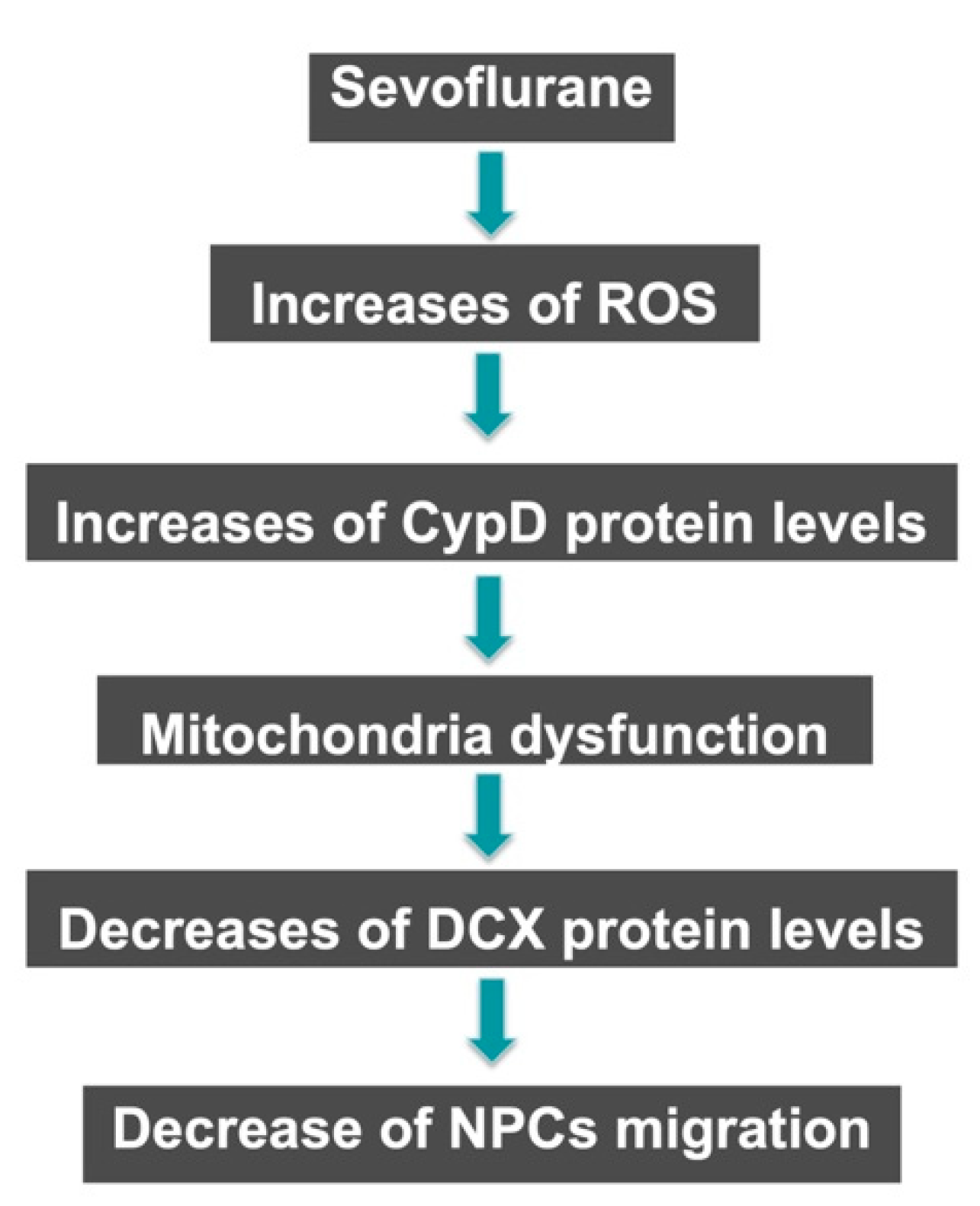 Ijms 24 06746 g007 Ijms 24 06746 g007
