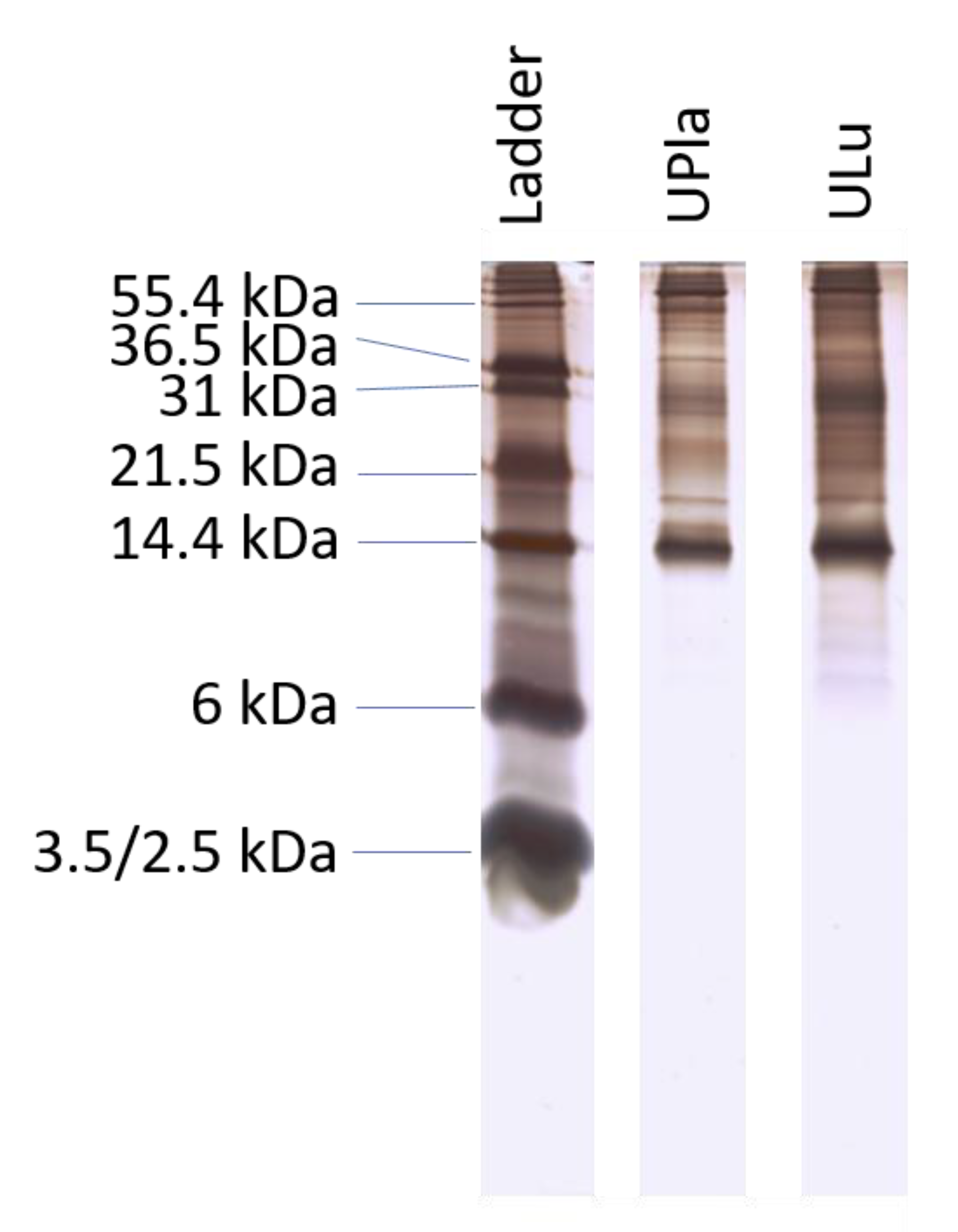 JAZF1-SUZ12 dysregulates PRC2 function and gene expression