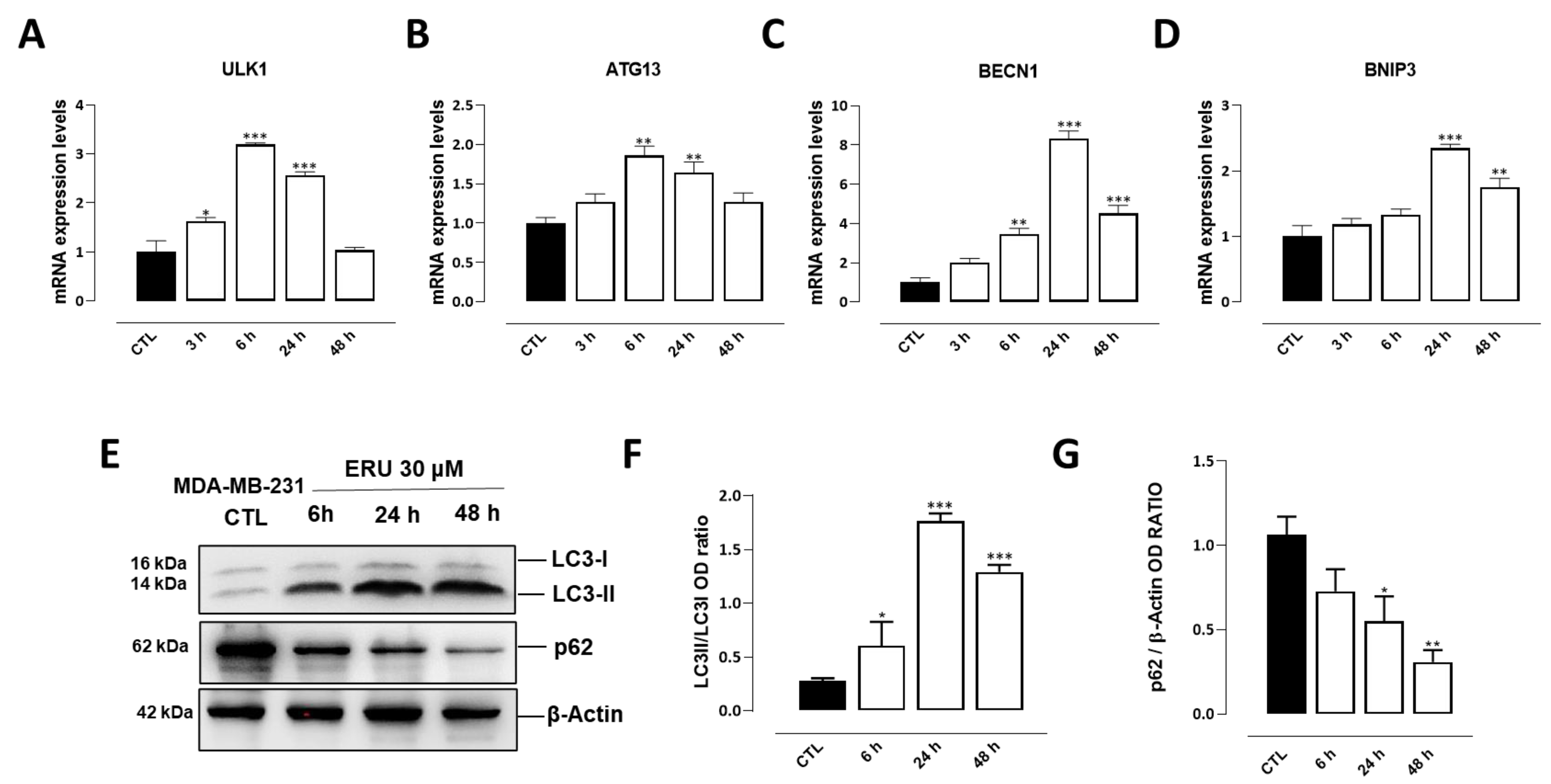 Ijms 24 06764 g002 Ijms 24 06764 g002