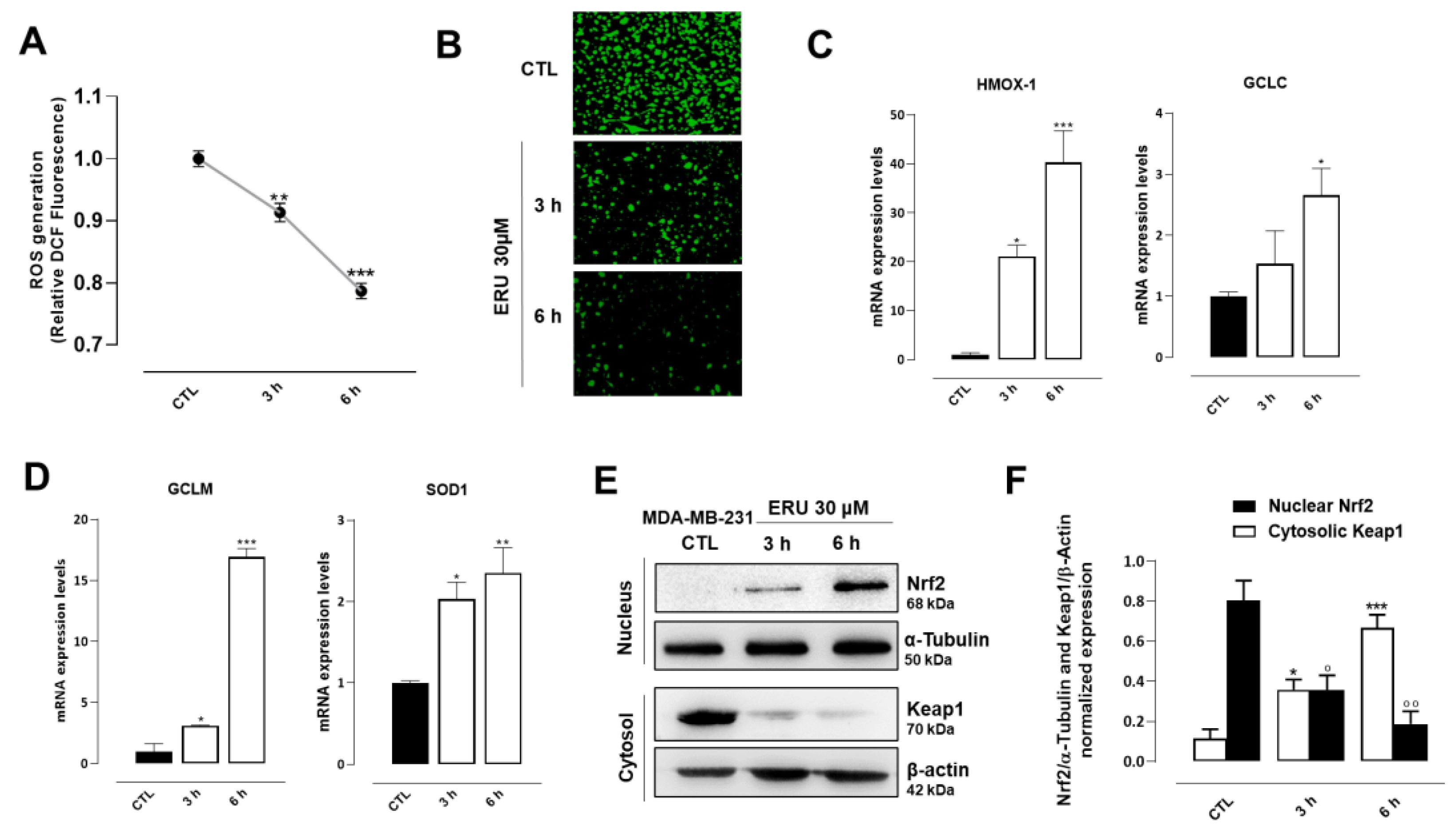 Ijms 24 06764 g003 Ijms 24 06764 g003