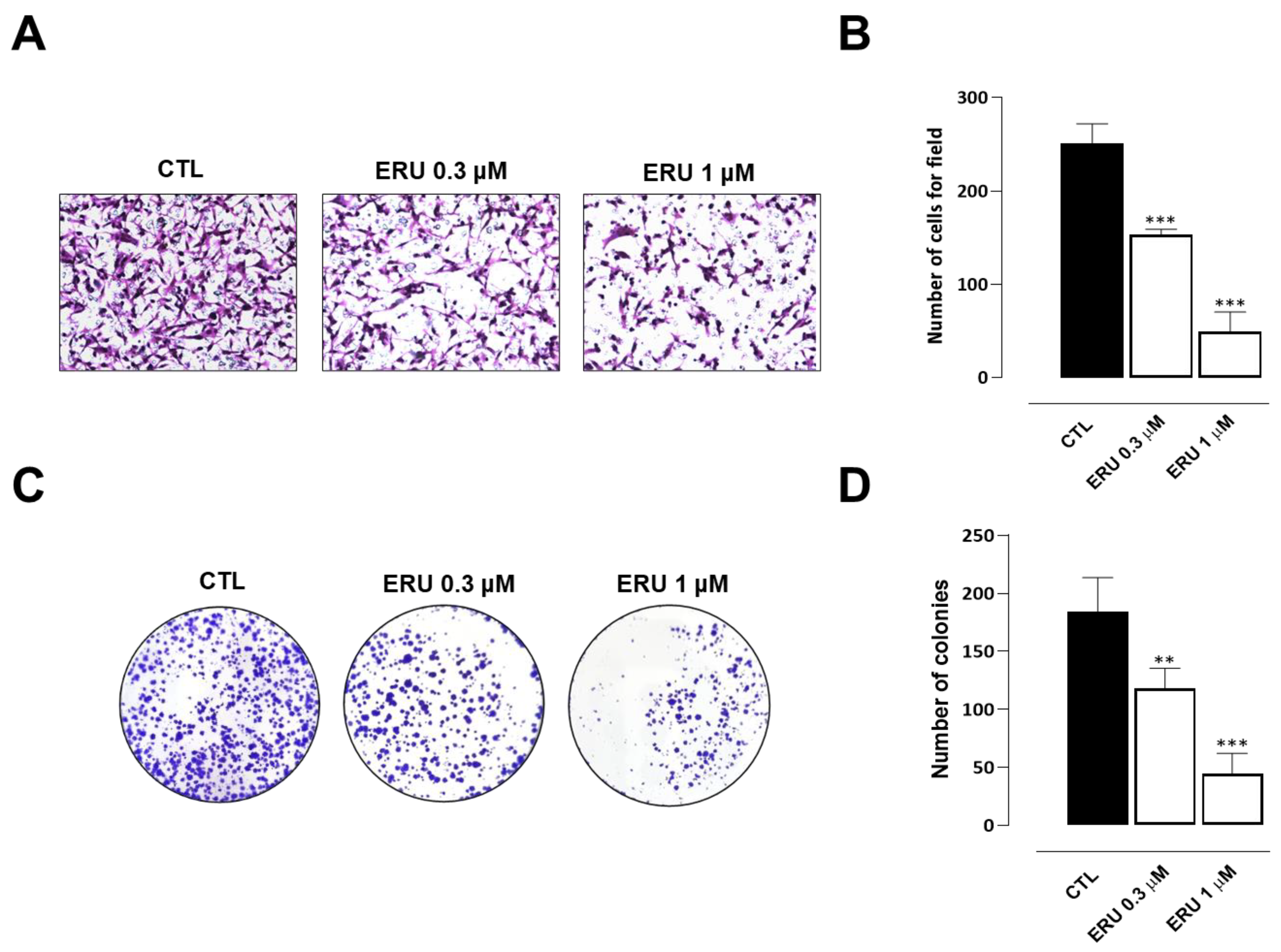 Ijms 24 06764 g005 Ijms 24 06764 g005