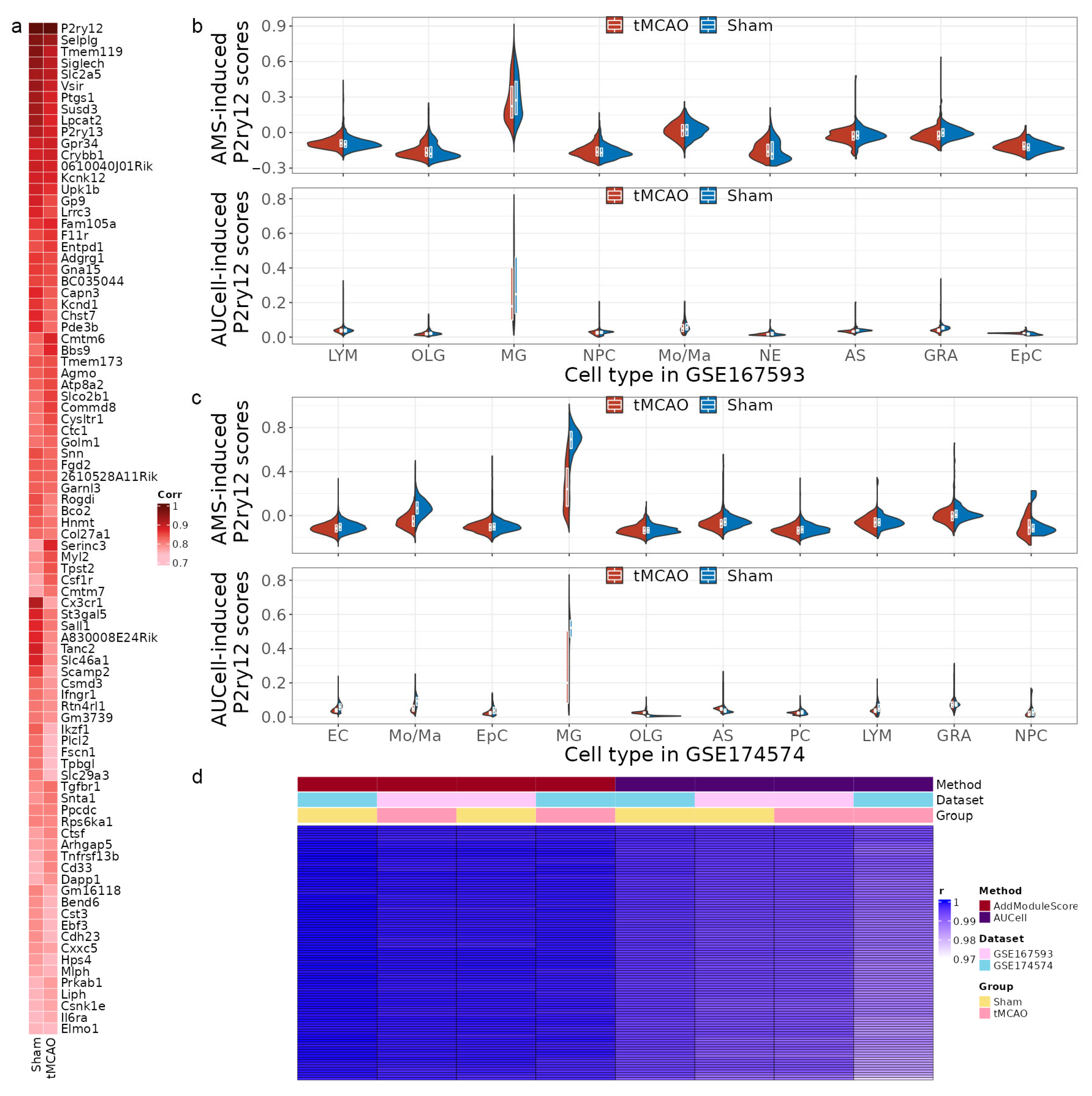 Ijms 24 06772 g002 Ijms 24 06772 g002