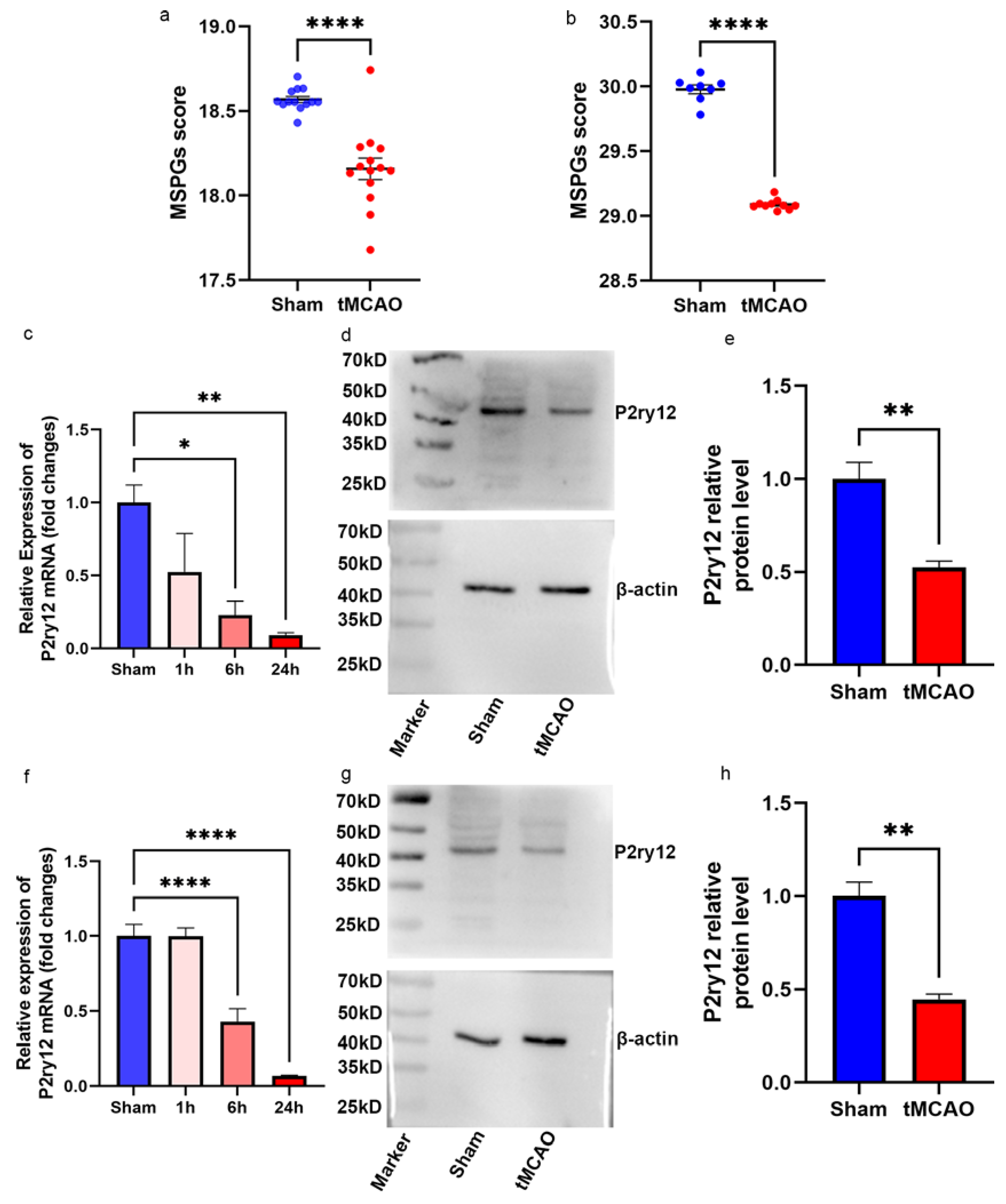 Ijms 24 06772 g003 Ijms 24 06772 g003
