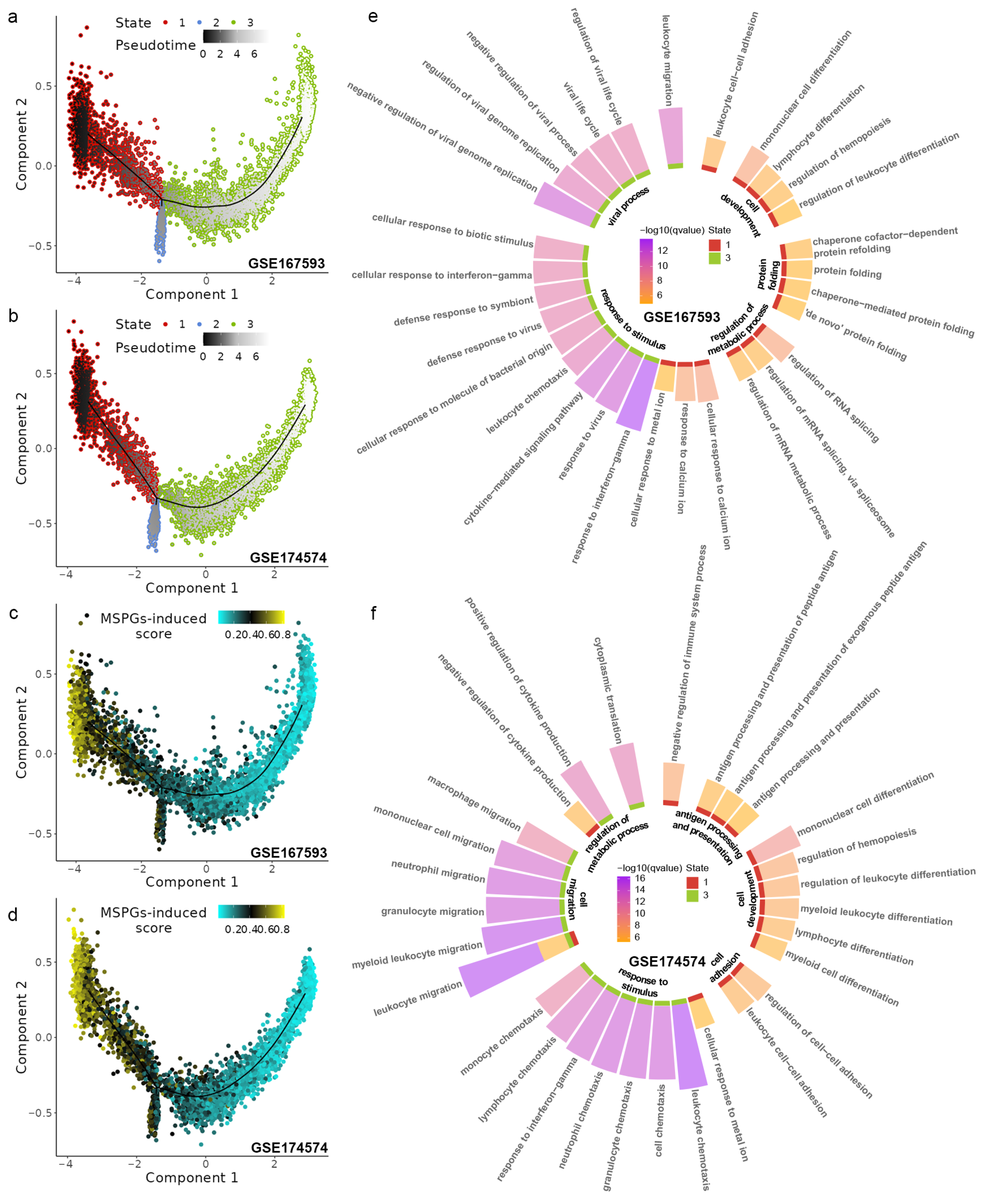 Ijms 24 06772 g004 Ijms 24 06772 g004