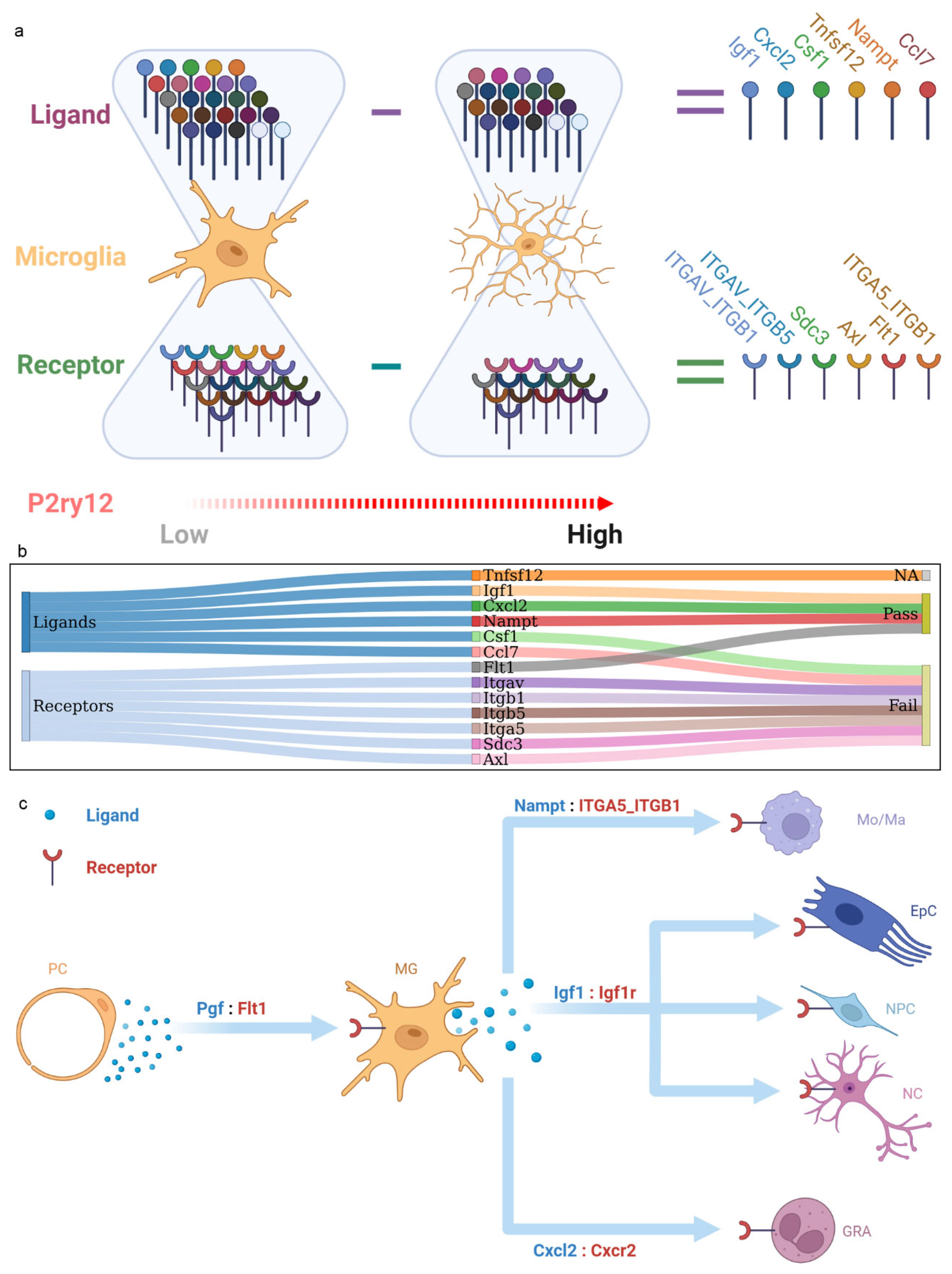 Ijms 24 06772 g005 Ijms 24 06772 g005