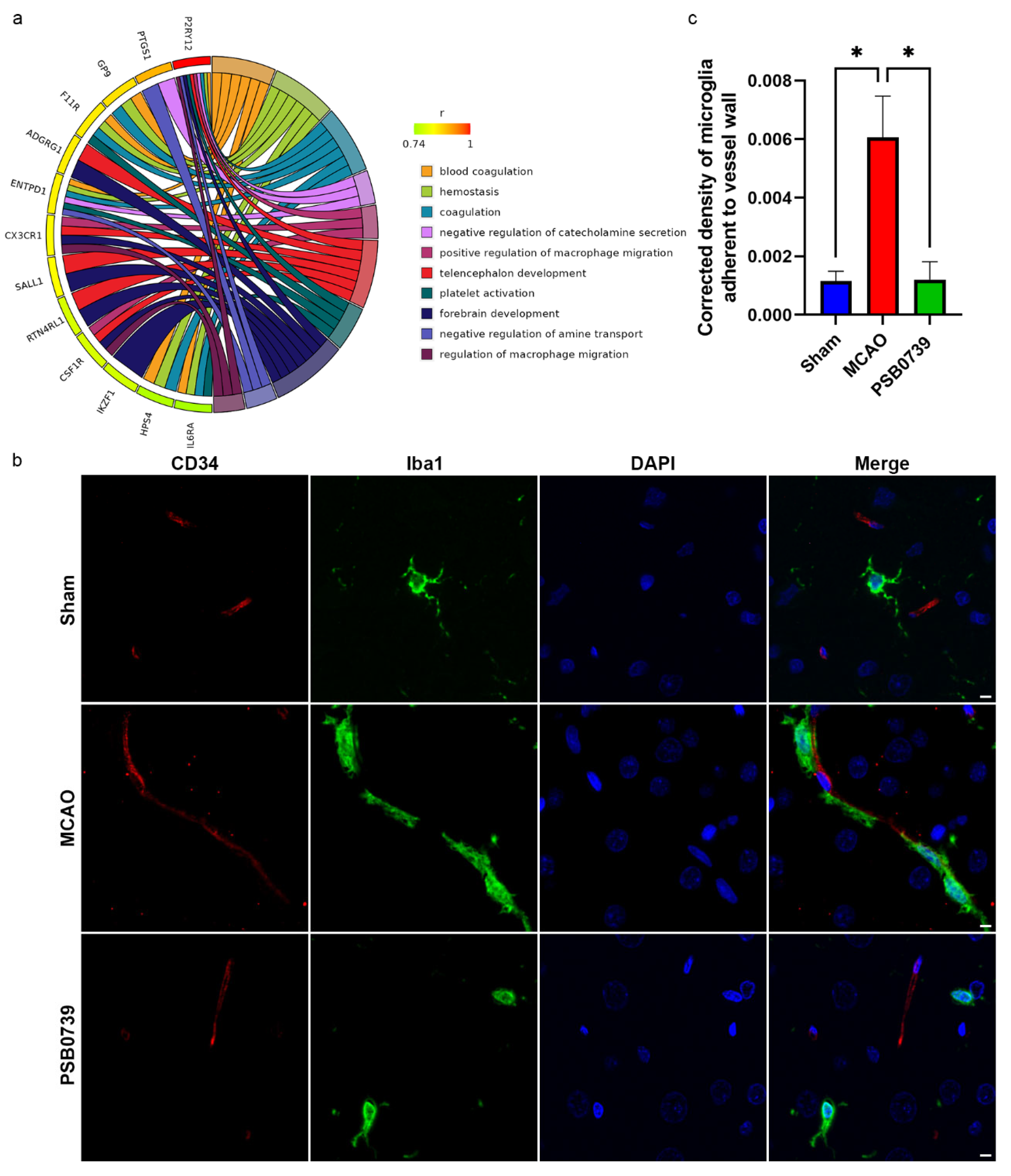 Ijms 24 06772 g006 Ijms 24 06772 g006