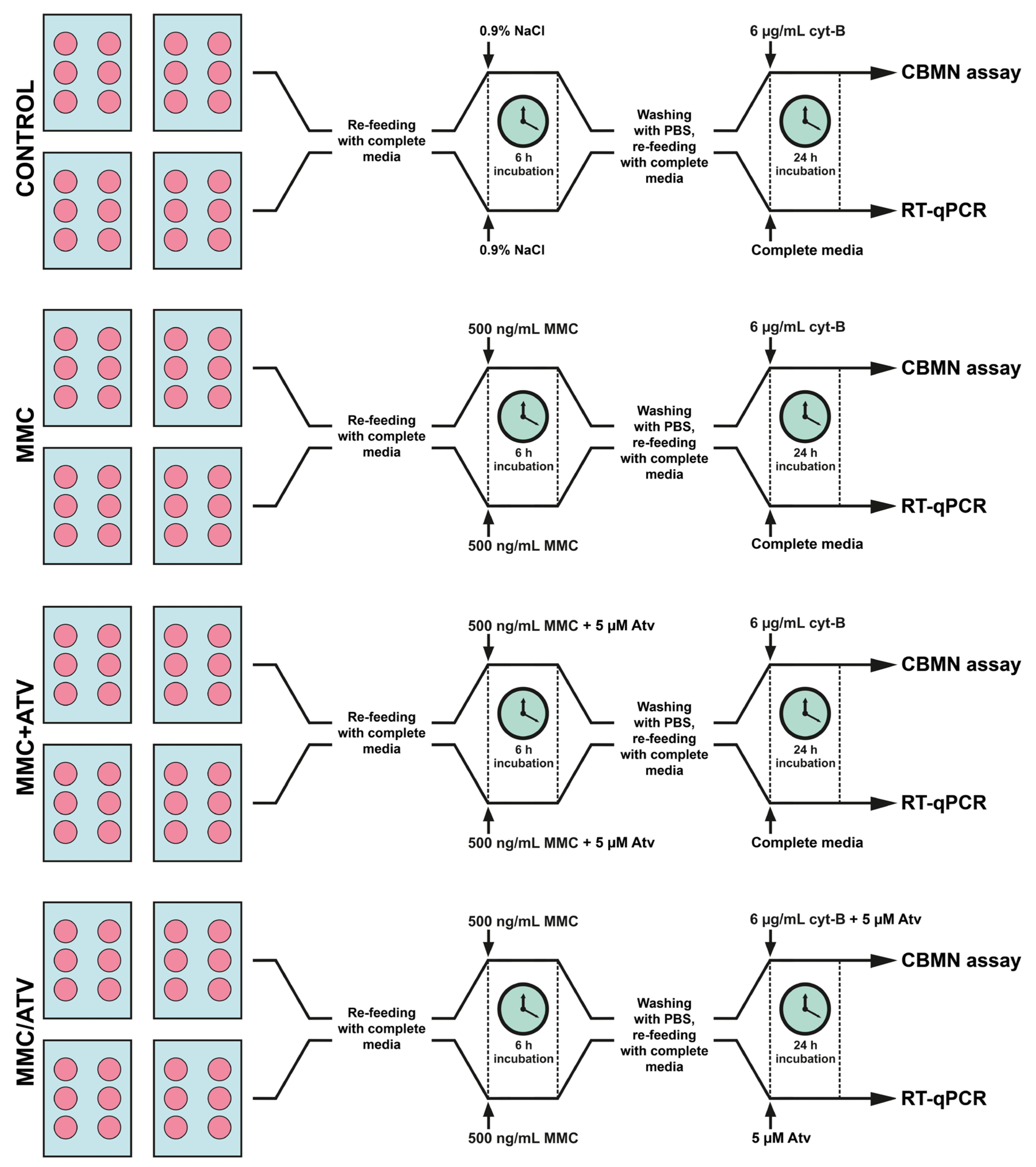 Ijms 24 06783 g004 Ijms 24 06783 g004