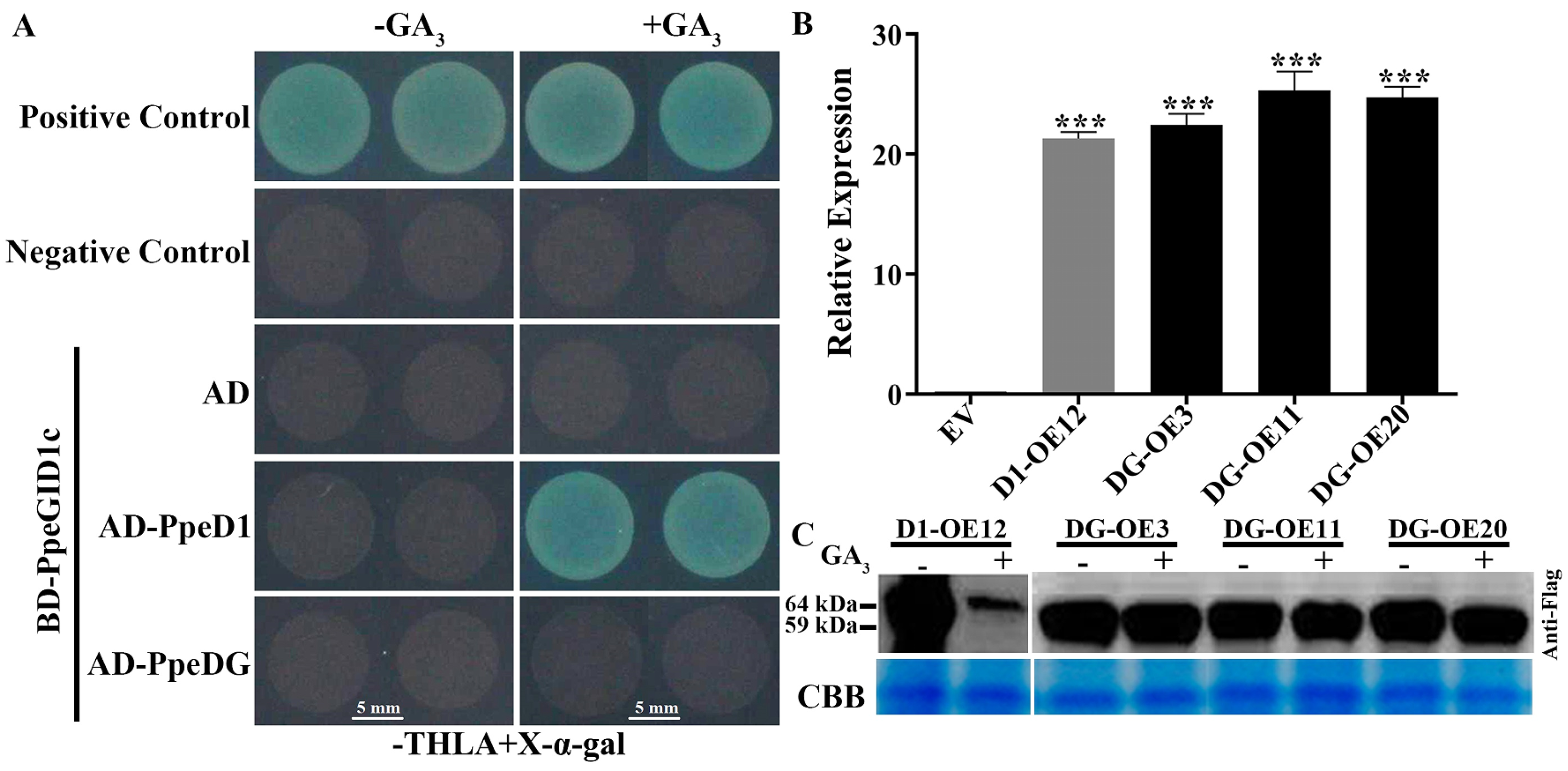 Ijms 24 06789 g002 Ijms 24 06789 g002