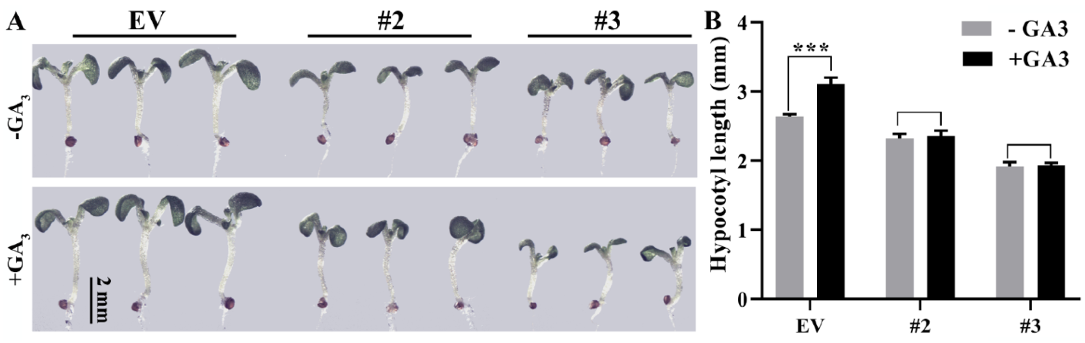 Ijms 24 06789 g006 Ijms 24 06789 g006