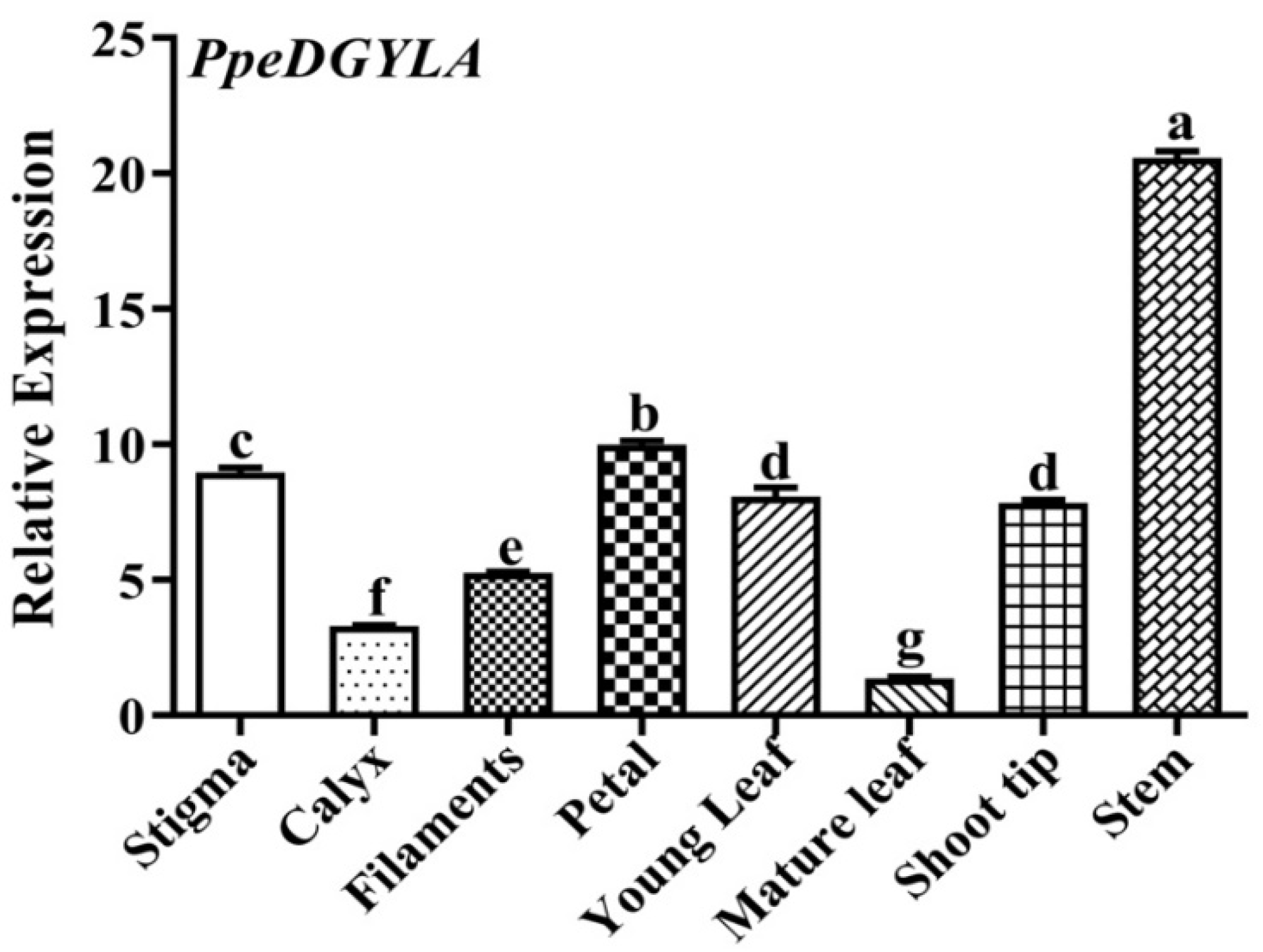 Ijms 24 06789 g008 Ijms 24 06789 g008