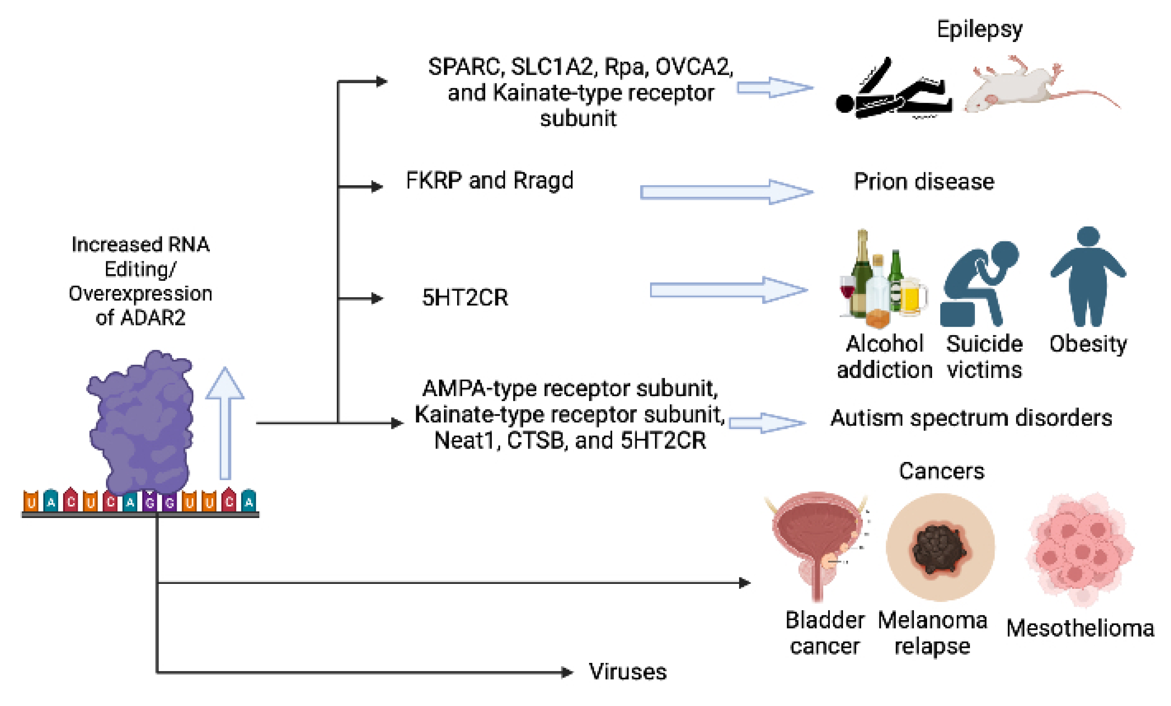 Ijms 24 06795 g001 Ijms 24 06795 g001