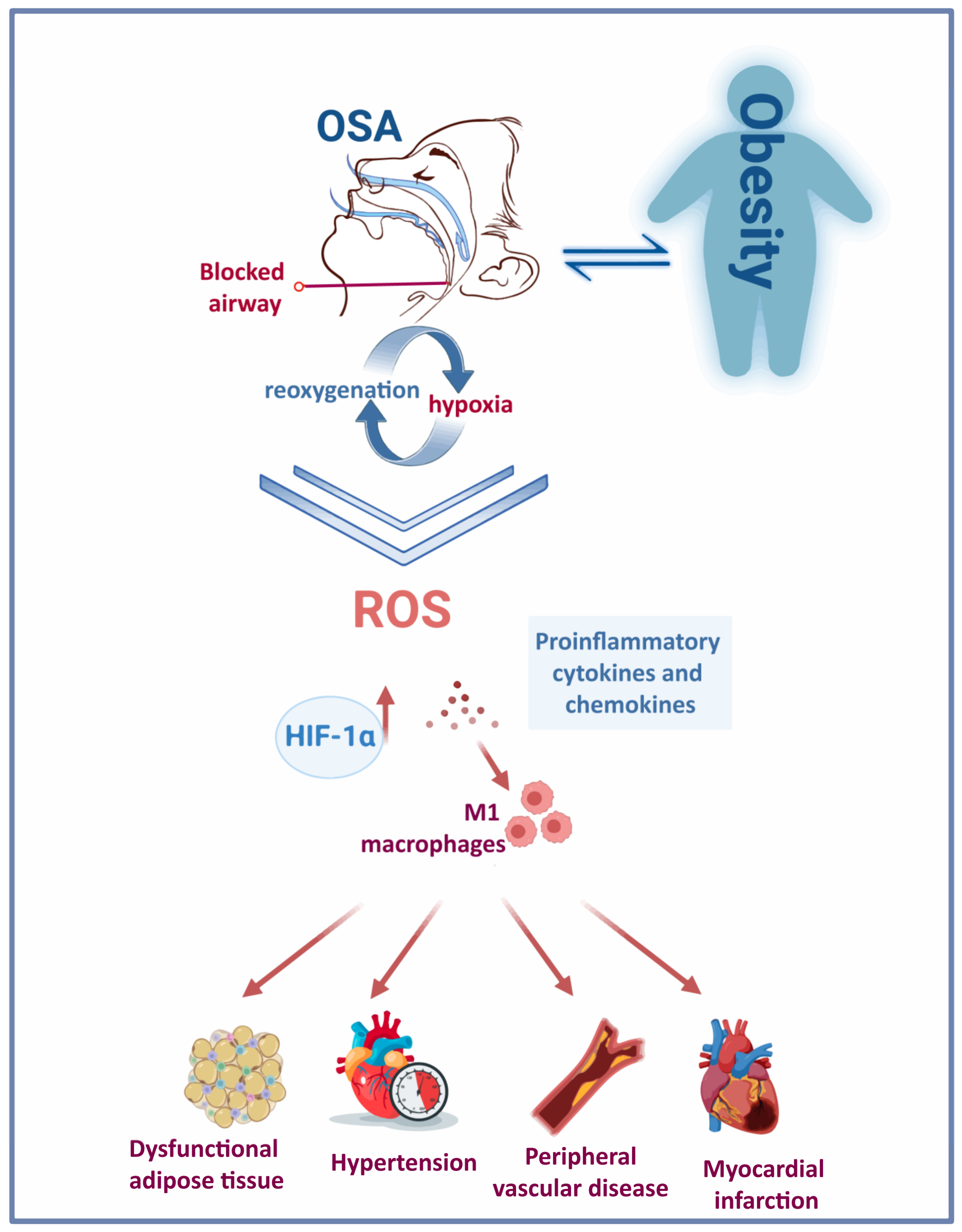IJMS Free Full Text Investigating the Relationship between