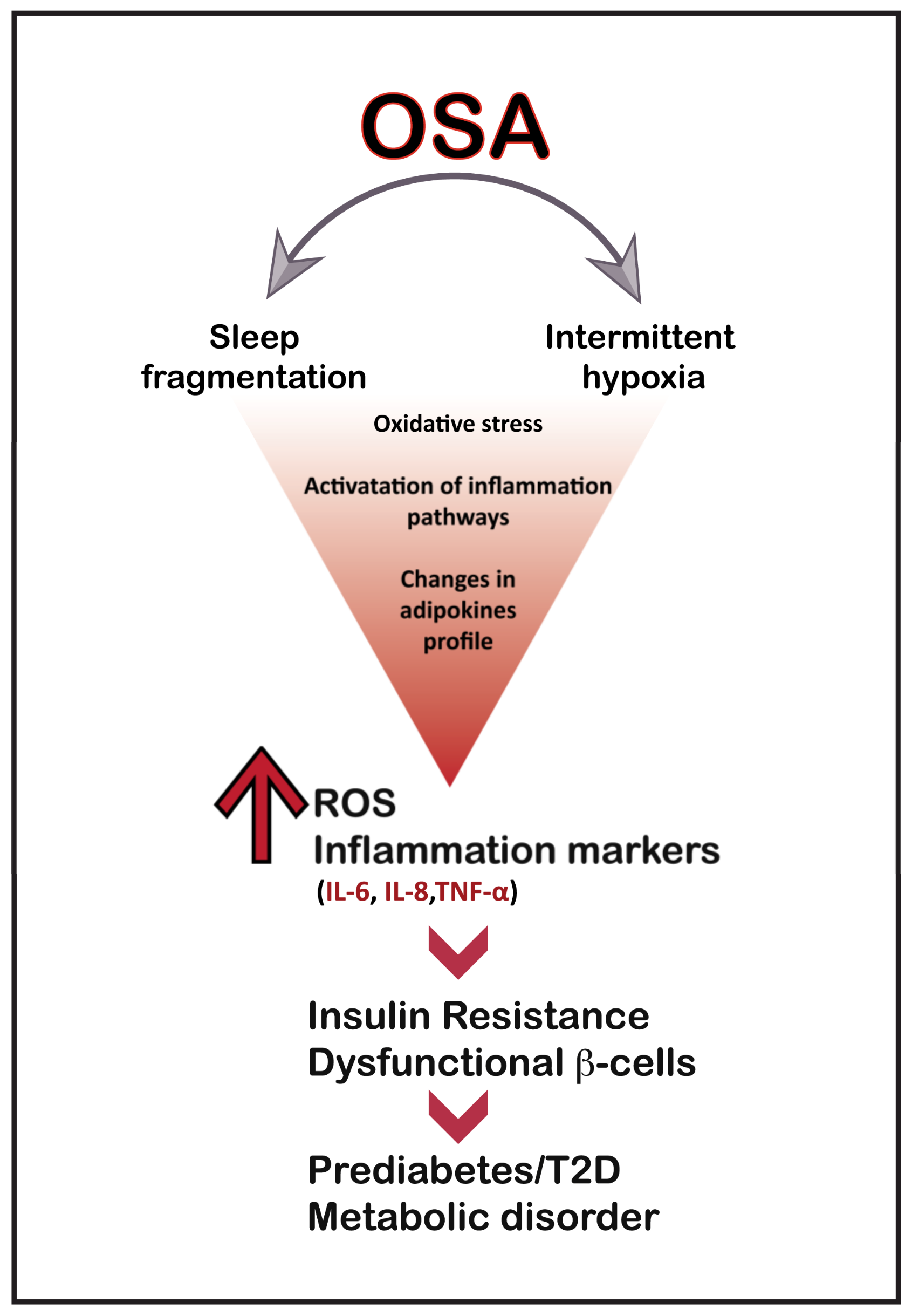 Ijms 24 06807 g002 Ijms 24 06807 g002