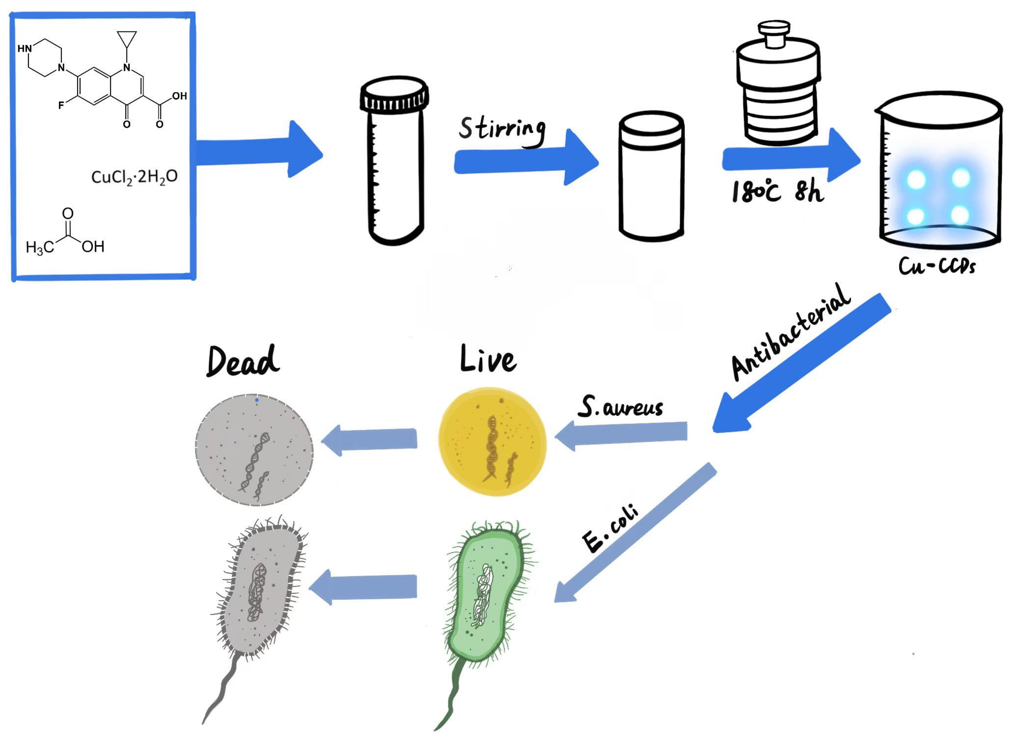 Ijms 24 06814 sch001