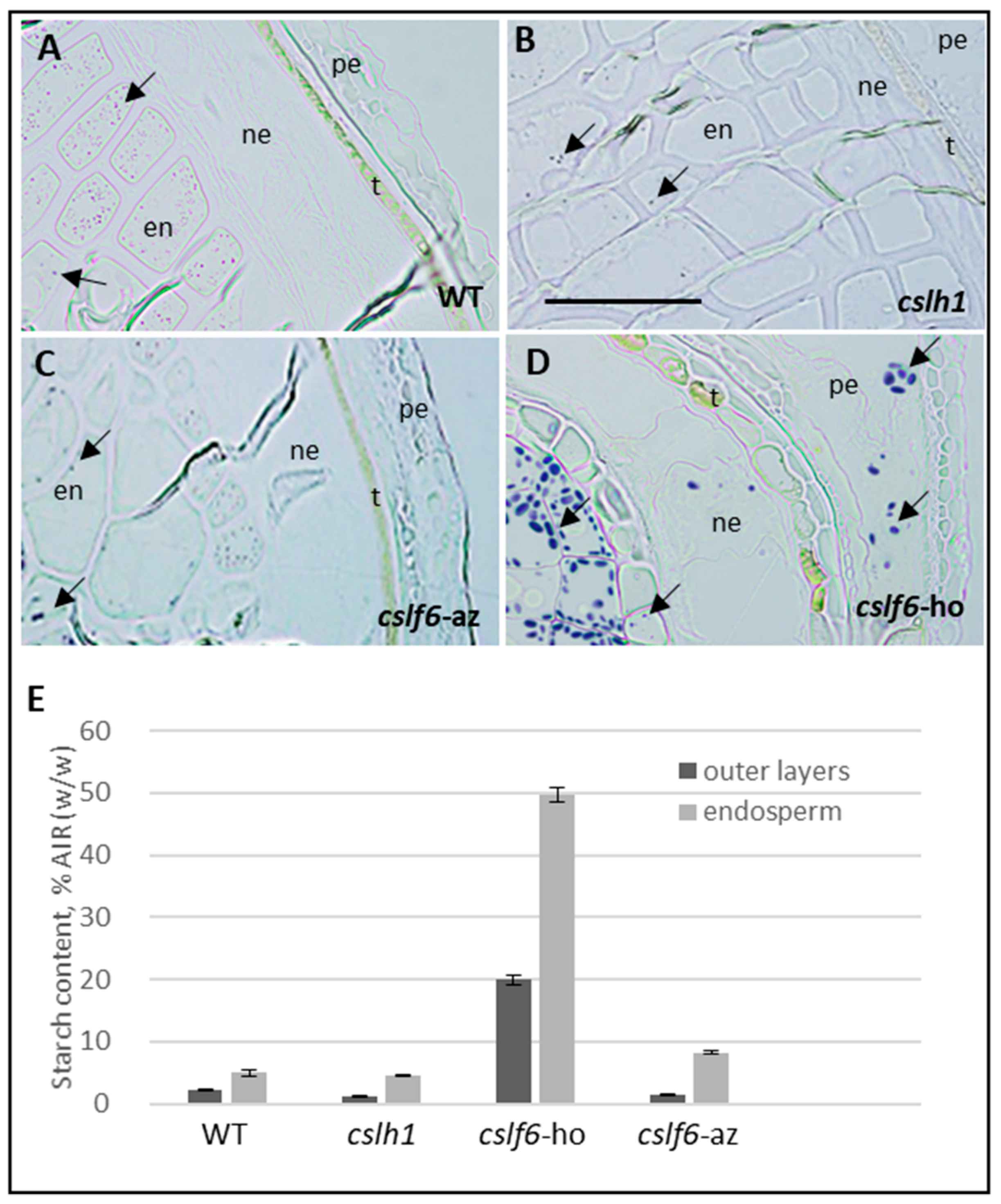 Ijms 24 06821 g008 Ijms 24 06821 g008