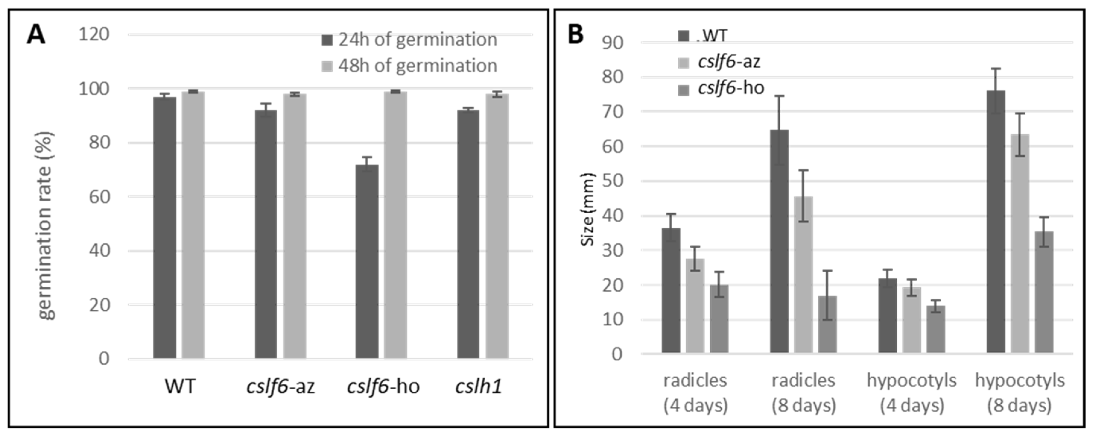 Ijms 24 06821 g009 Ijms 24 06821 g009