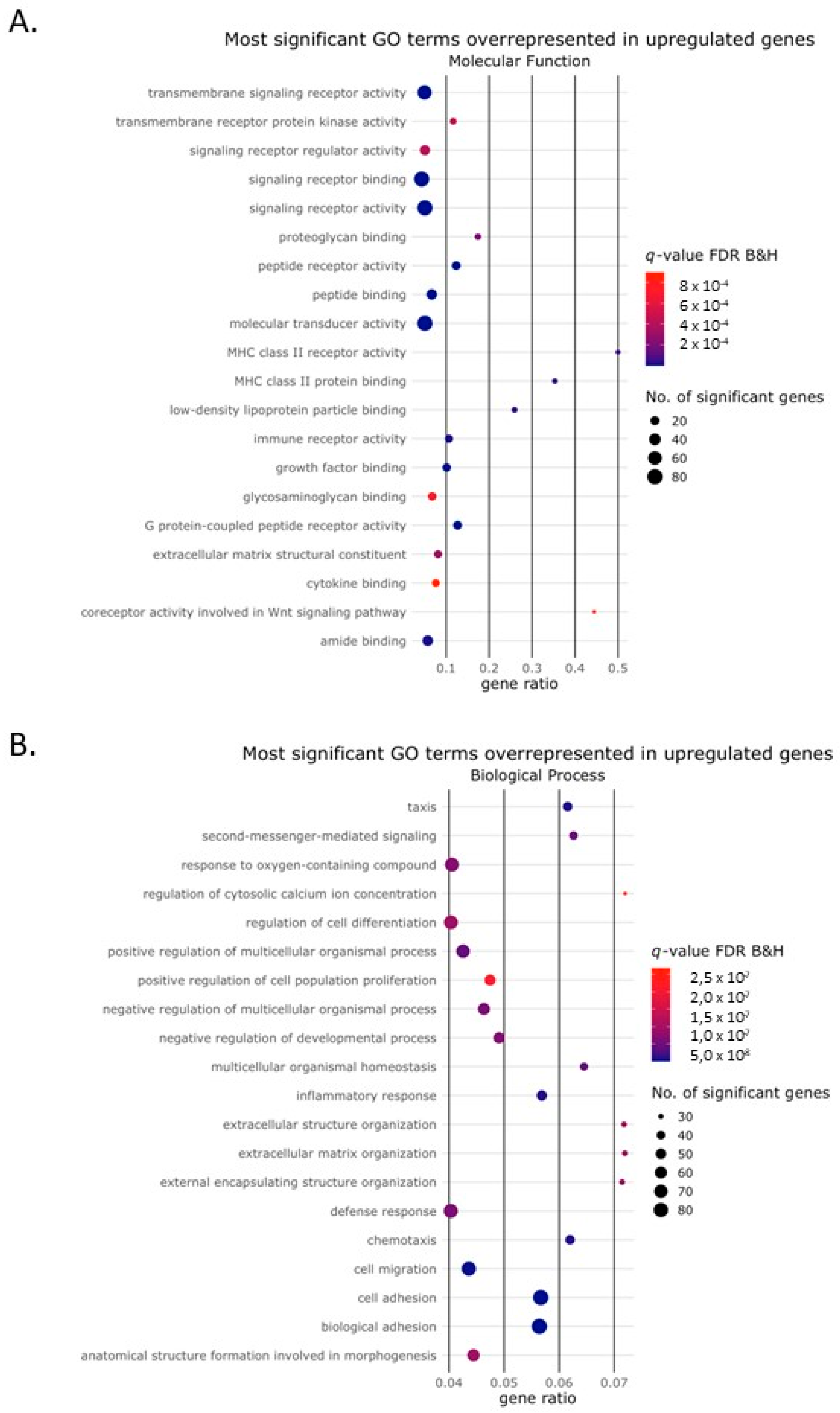 Ijms 24 06822 g003a Ijms 24 06822 g003a