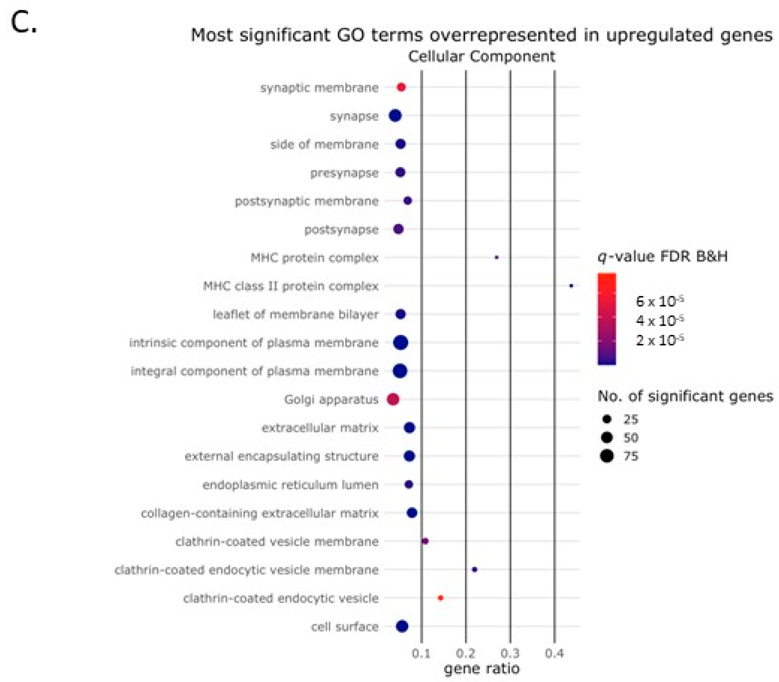 Ijms 24 06822 g003b Ijms 24 06822 g003b