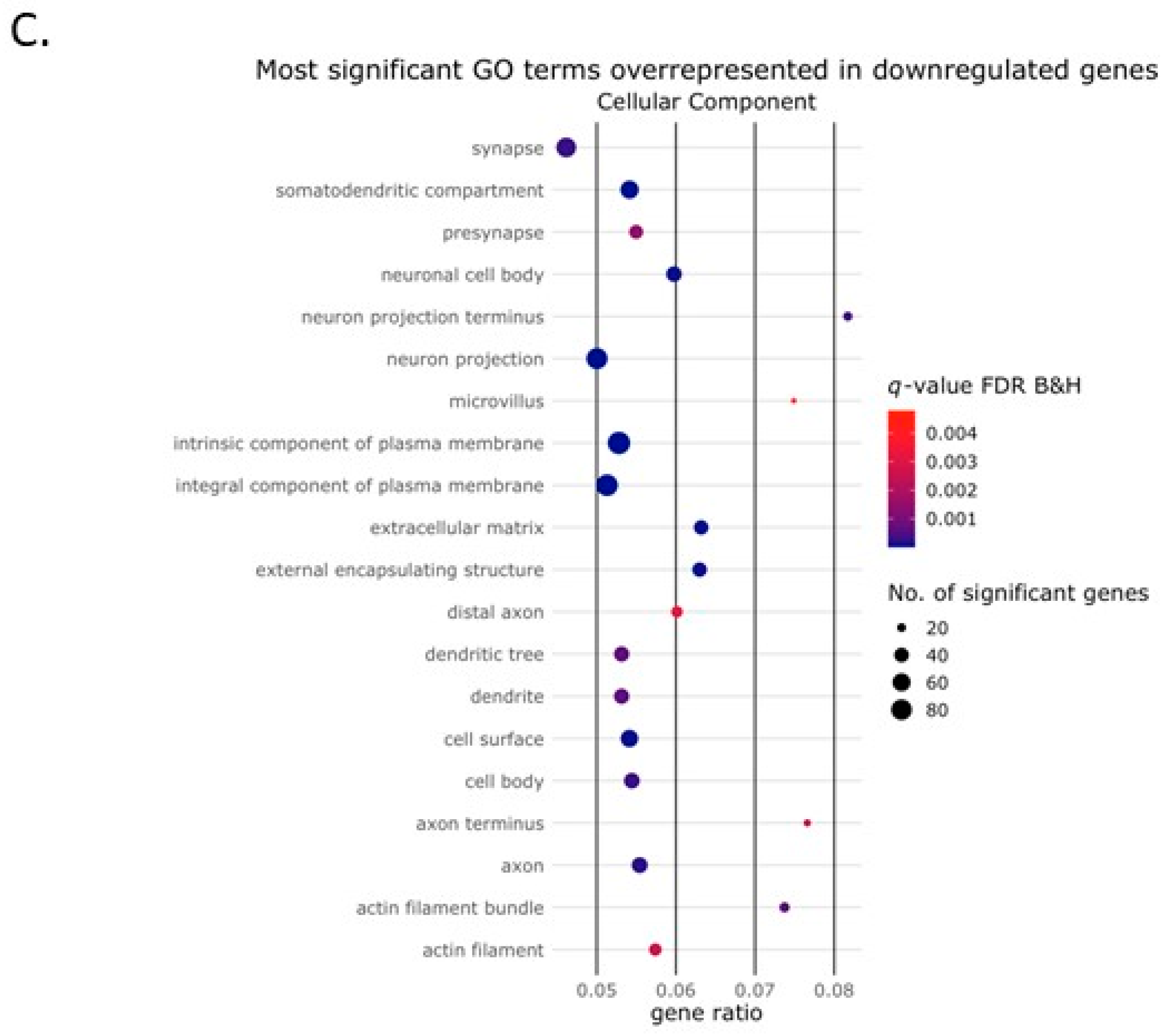 Ijms 24 06822 g004b Ijms 24 06822 g004b