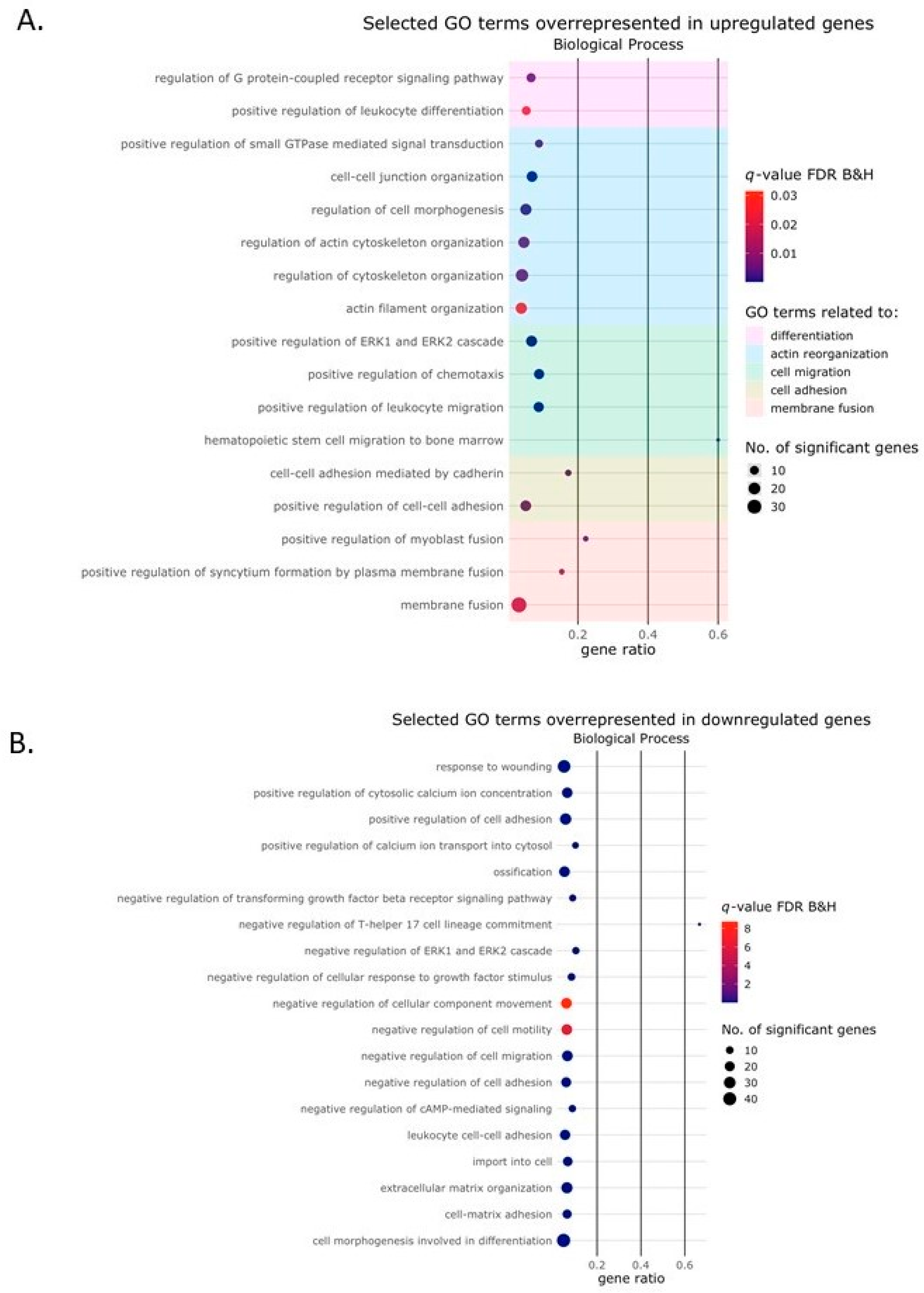 Ijms 24 06822 g005 Ijms 24 06822 g005