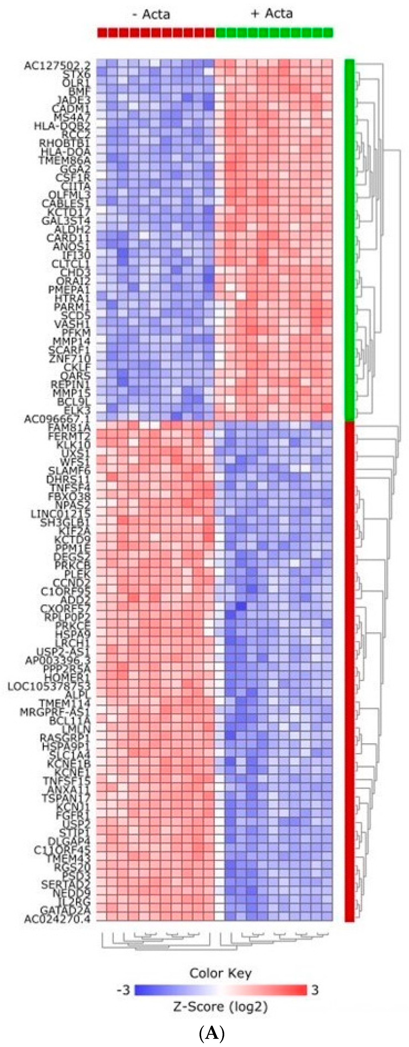 Ijms 24 06822 g006a Ijms 24 06822 g006a