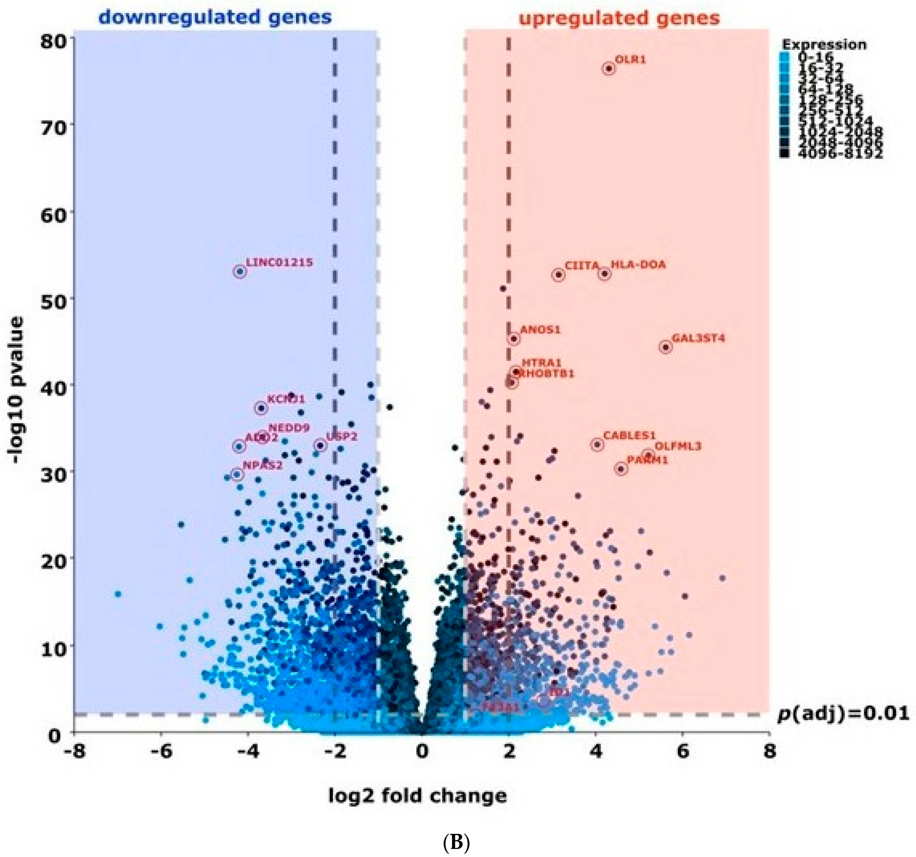 Ijms 24 06822 g006b Ijms 24 06822 g006b