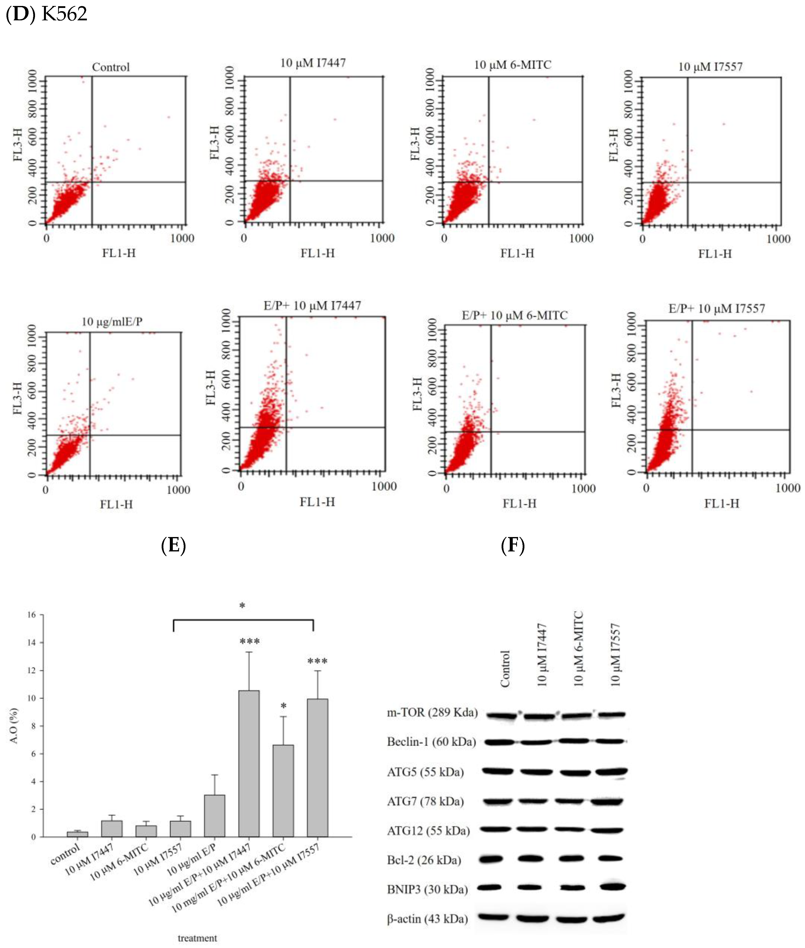 Ijms 24 06823 g006b Ijms 24 06823 g006b