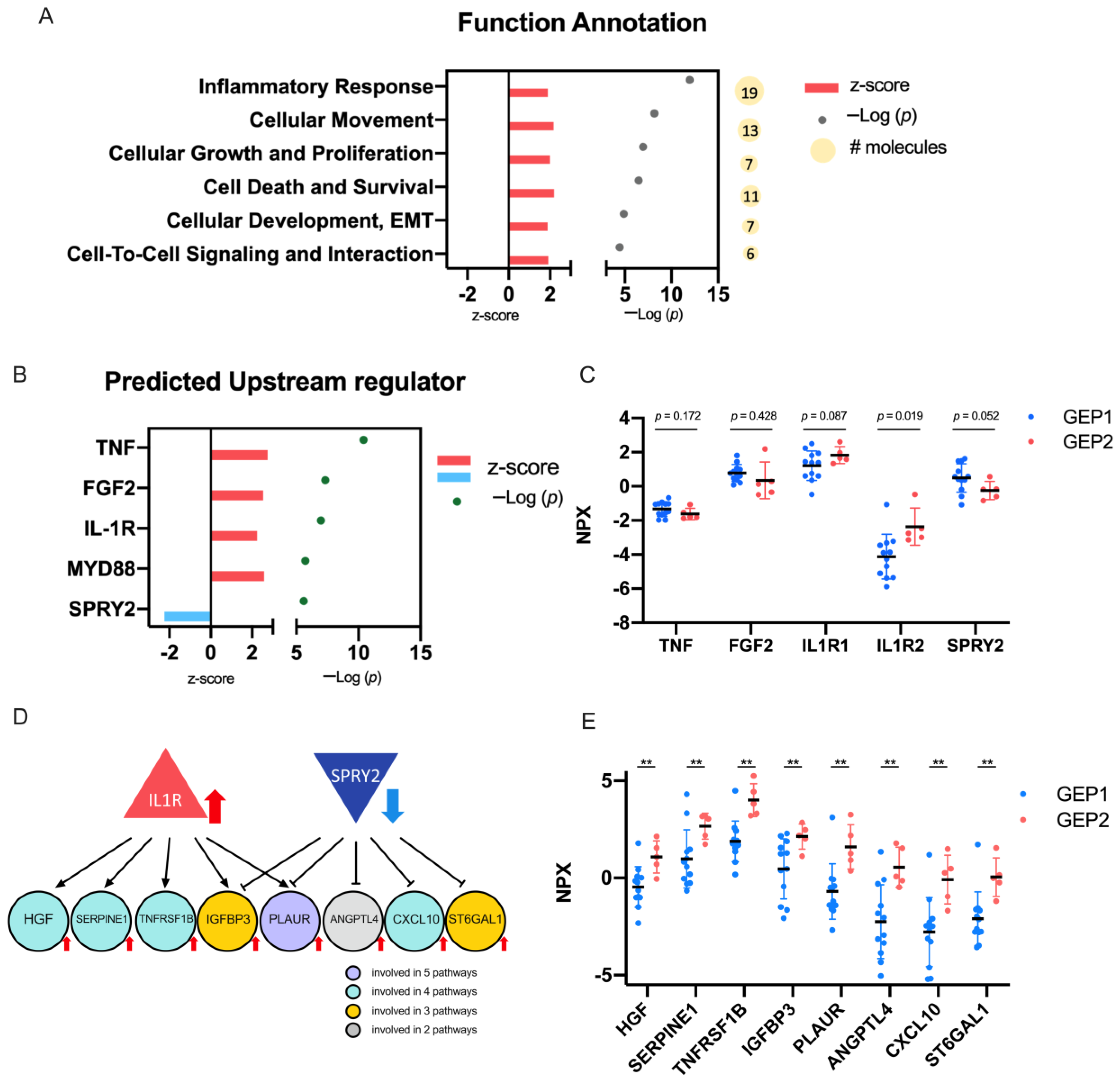 Ijms 24 06825 g004 Ijms 24 06825 g004