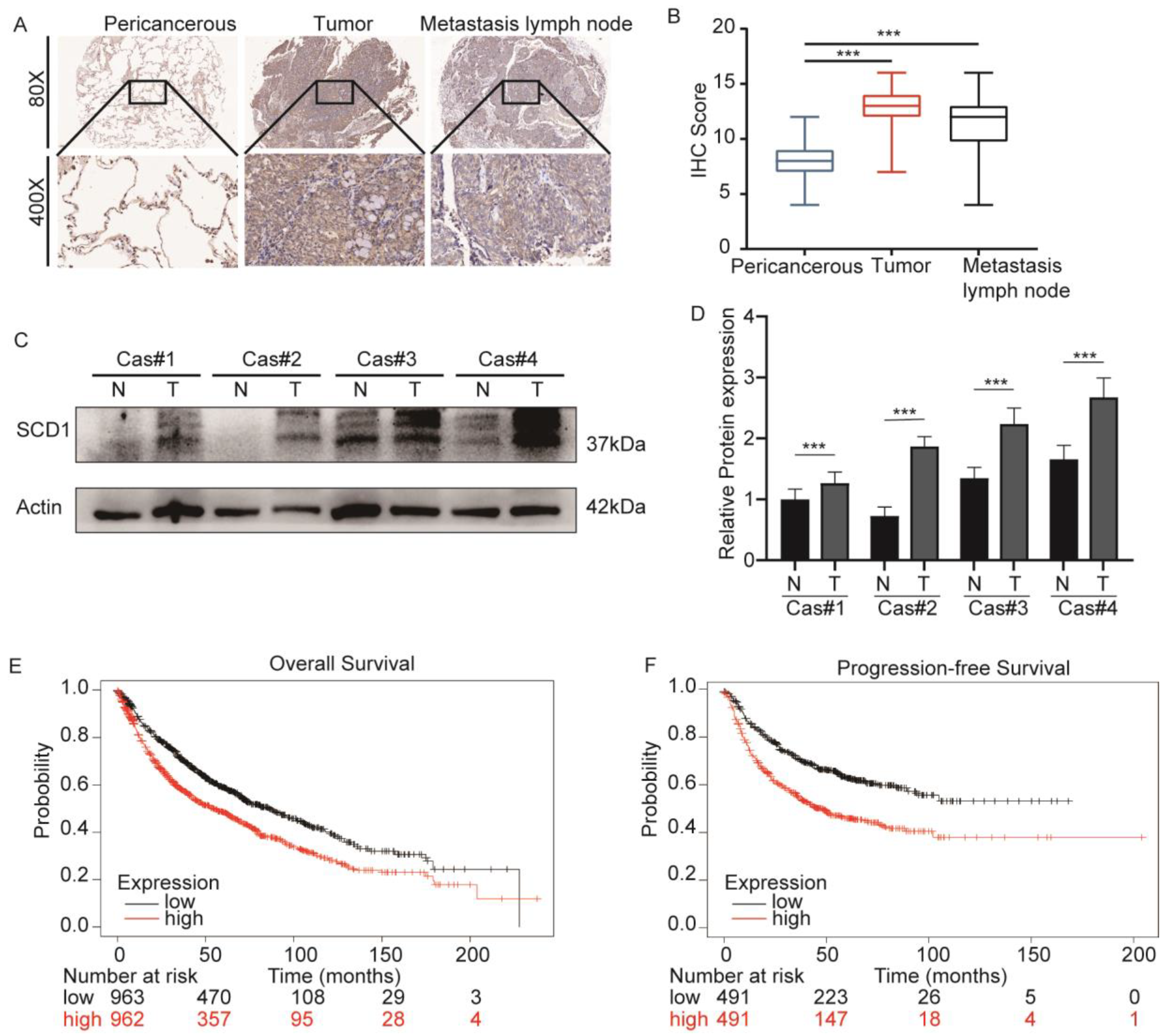 Ijms 24 06826 g001 Ijms 24 06826 g001