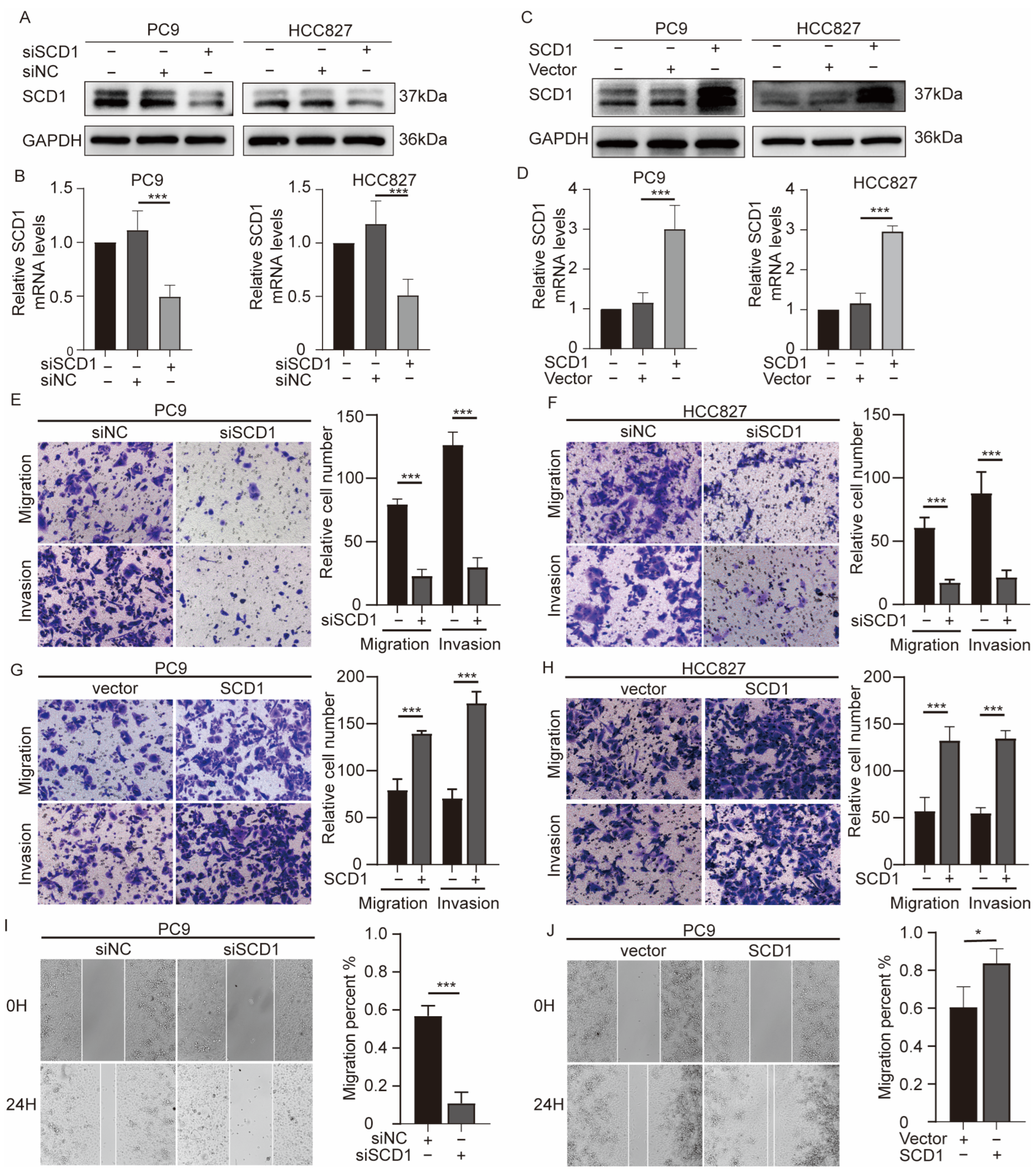 Ijms 24 06826 g002 Ijms 24 06826 g002