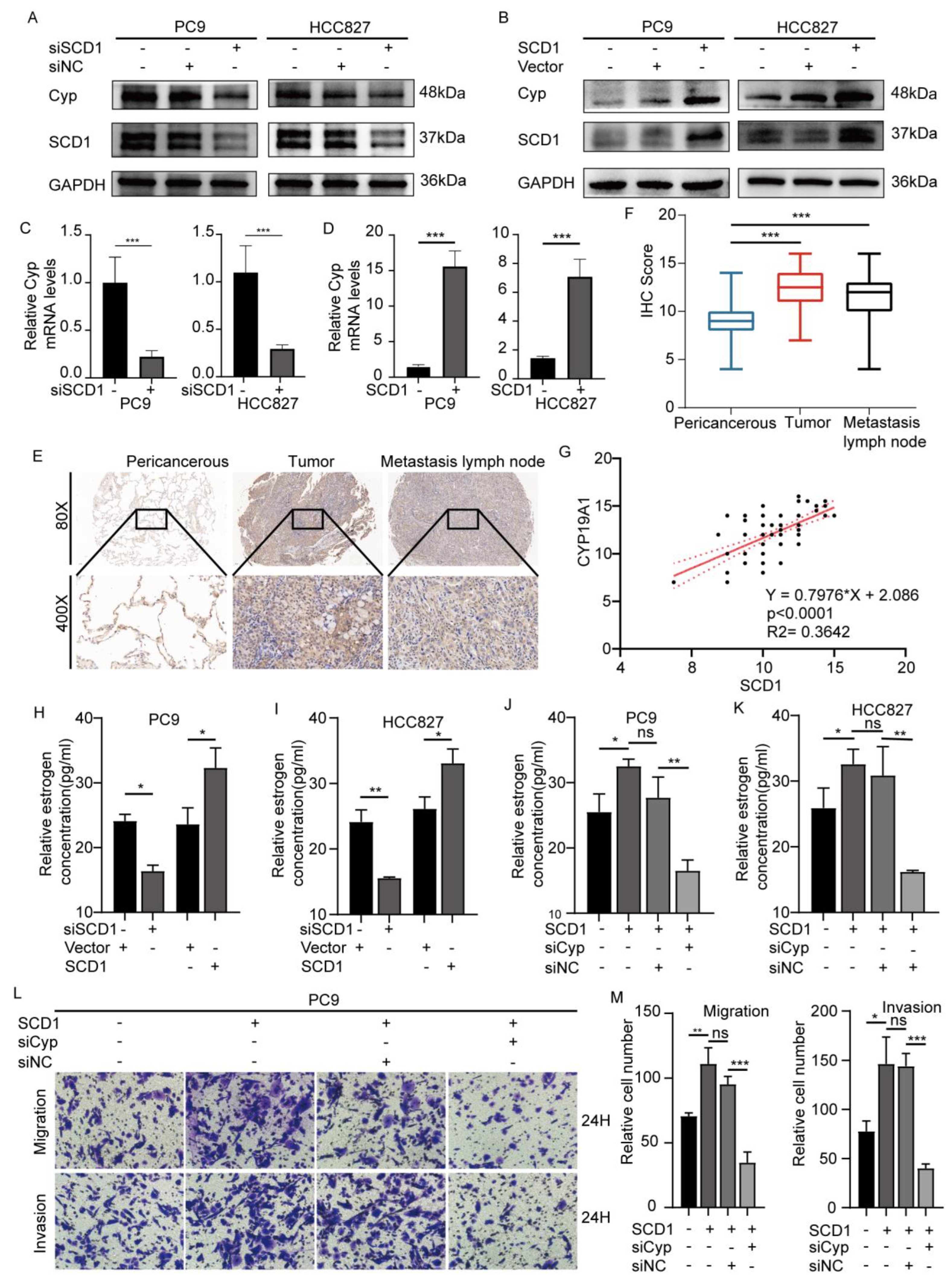 Ijms 24 06826 g003 Ijms 24 06826 g003