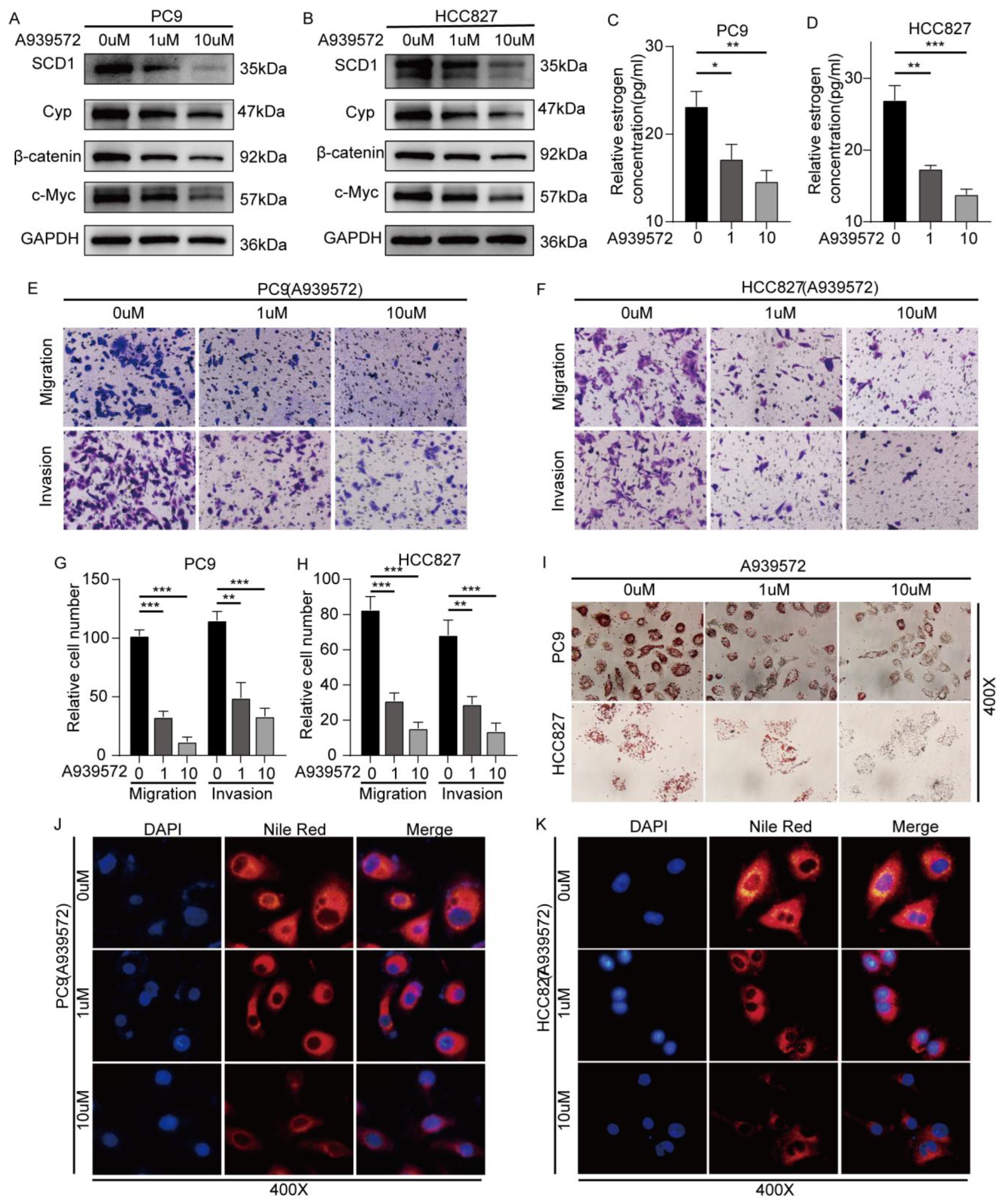 Ijms 24 06826 g005 Ijms 24 06826 g005