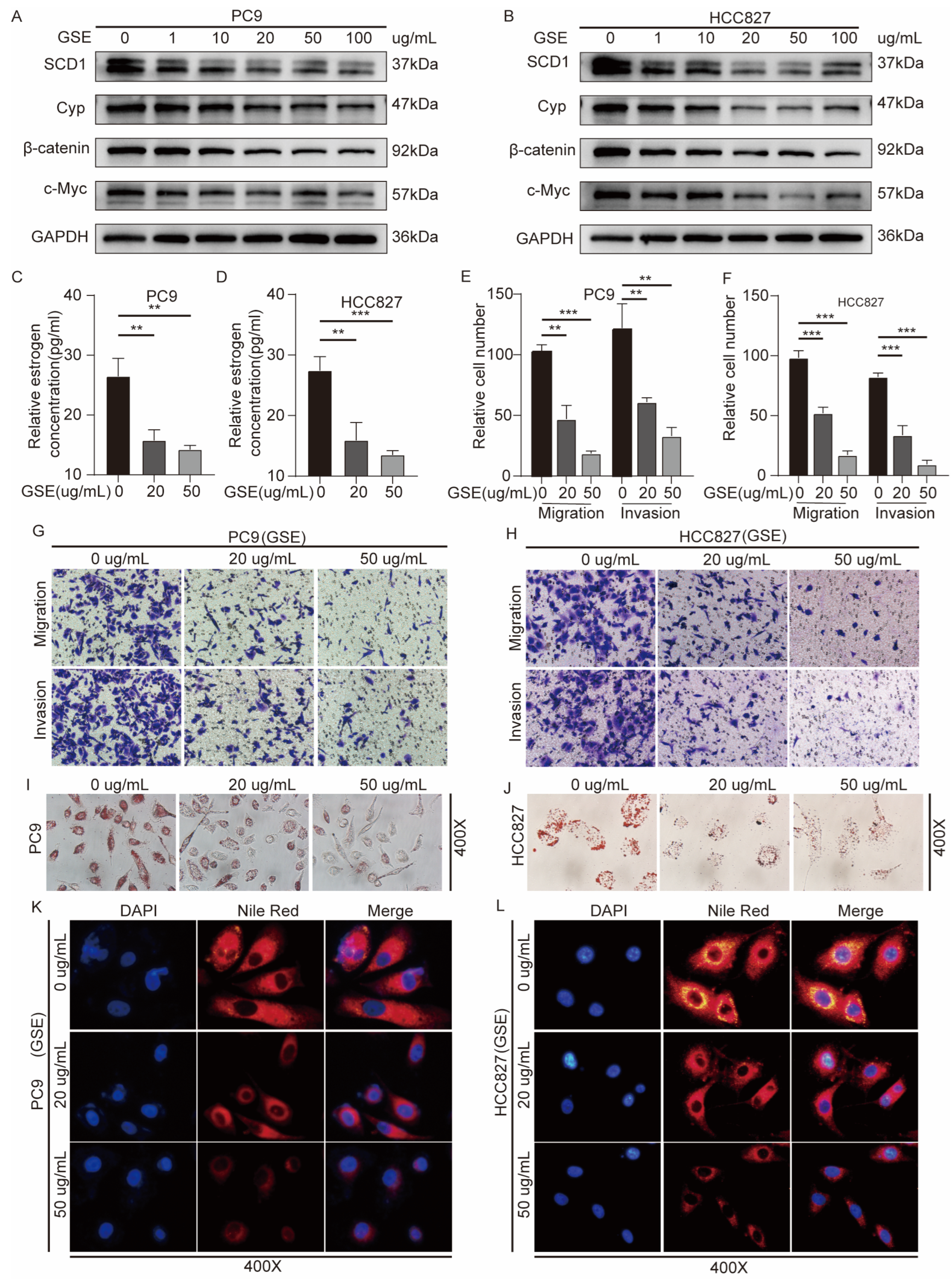 Ijms 24 06826 g006 Ijms 24 06826 g006