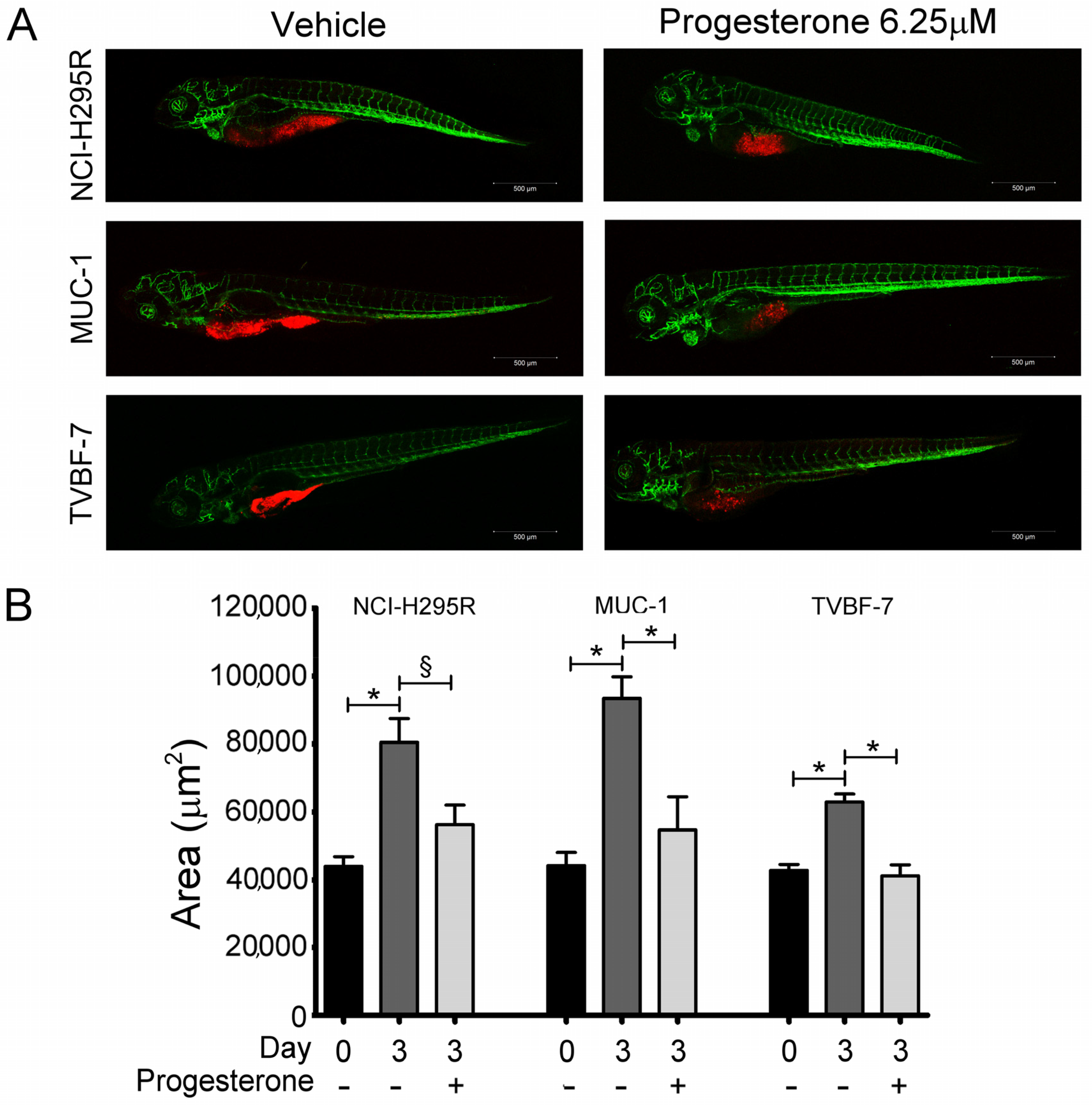 Ijms 24 06829 g001 Ijms 24 06829 g001