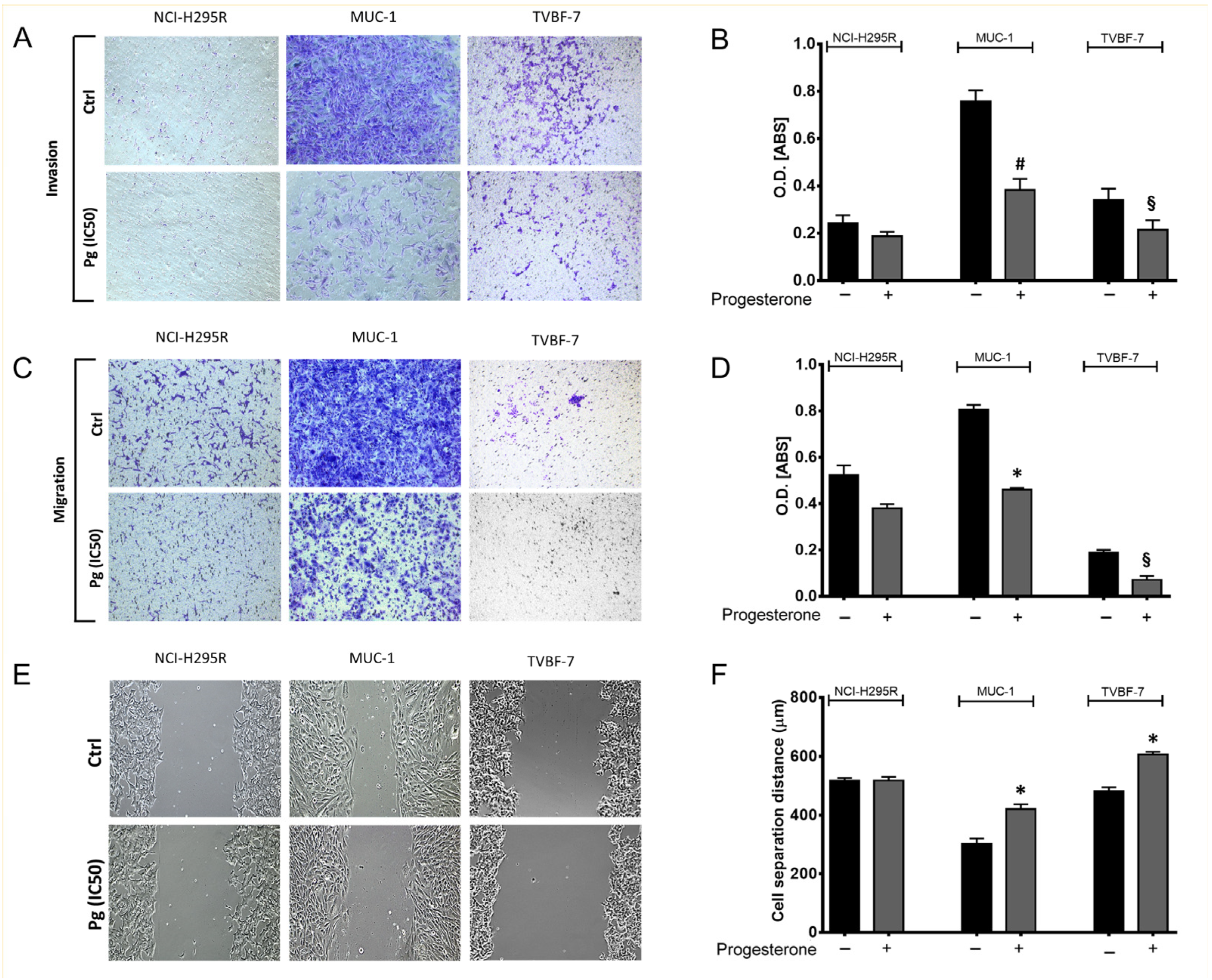 Ijms 24 06829 g003 Ijms 24 06829 g003