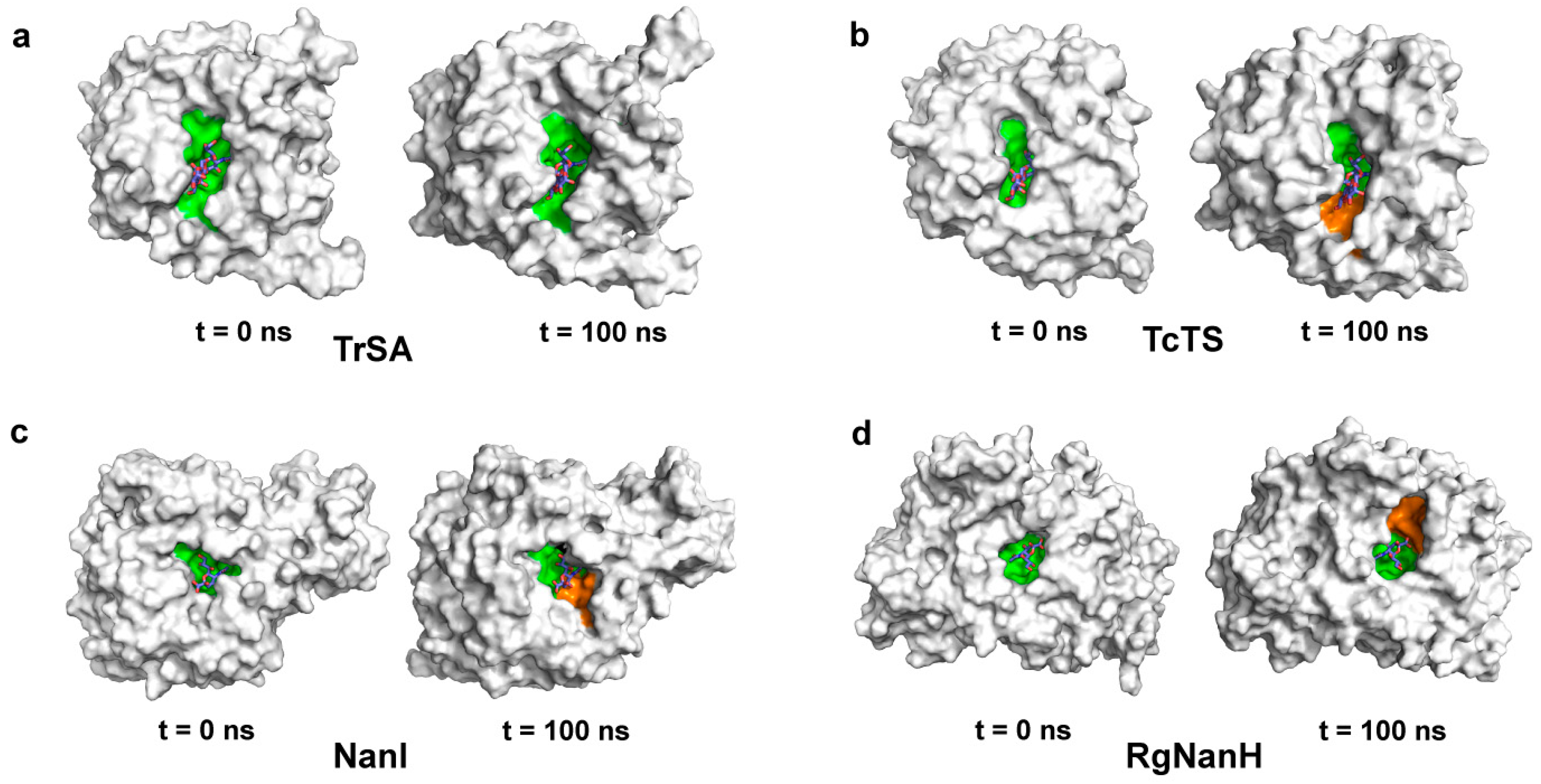 Ijms 24 06830 g003 Ijms 24 06830 g003