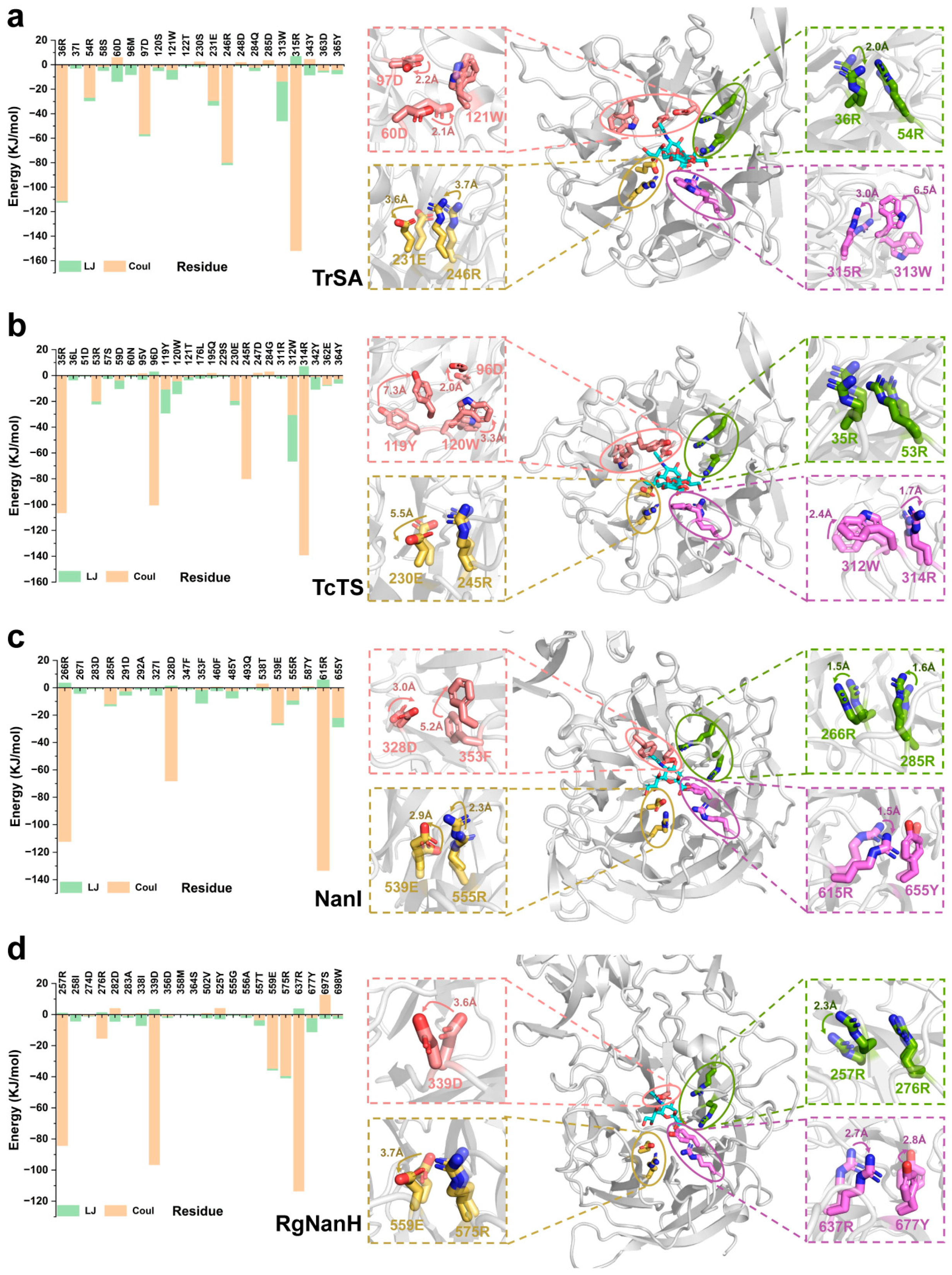 Ijms 24 06830 g005 Ijms 24 06830 g005