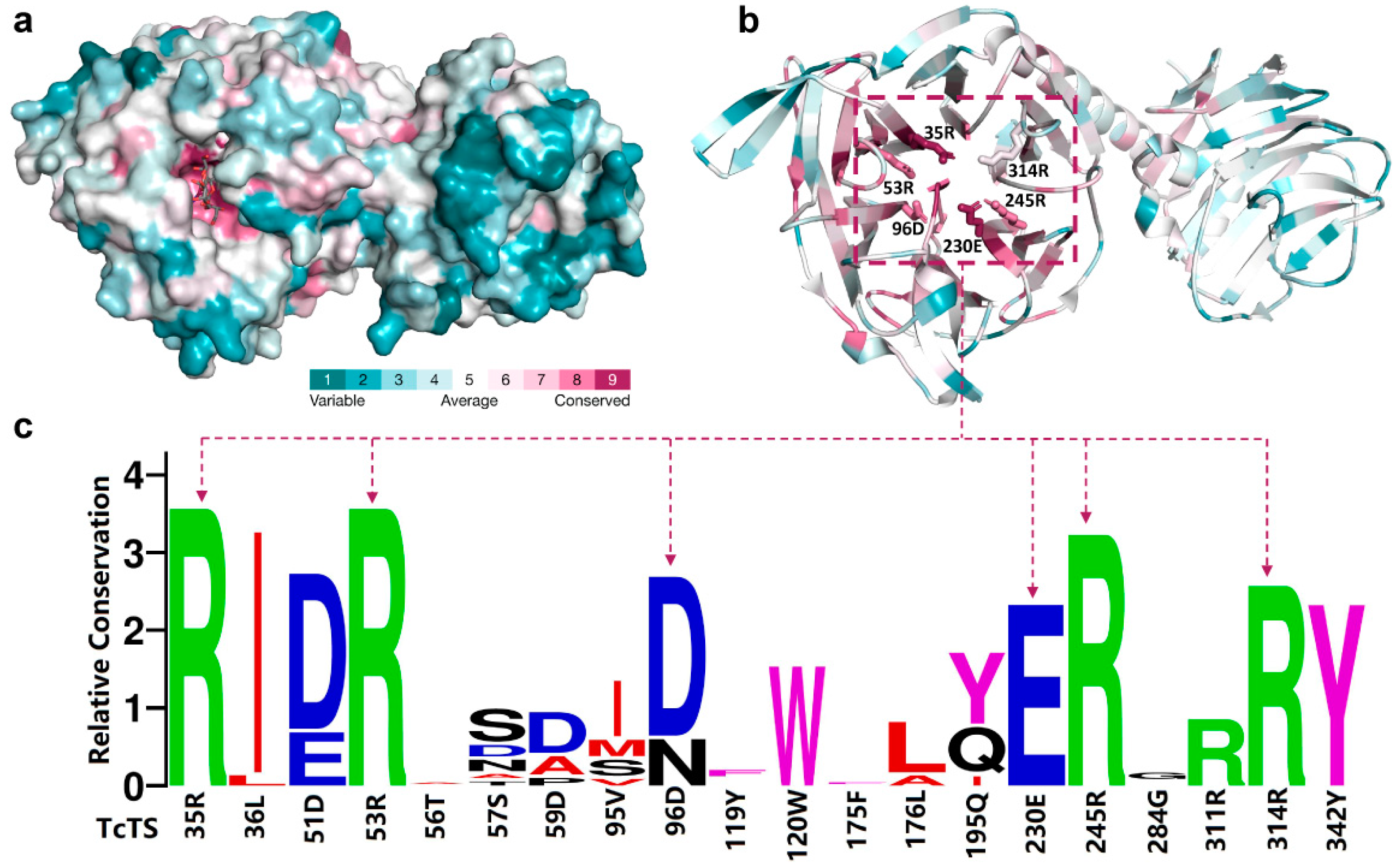 Ijms 24 06830 g006 Ijms 24 06830 g006
