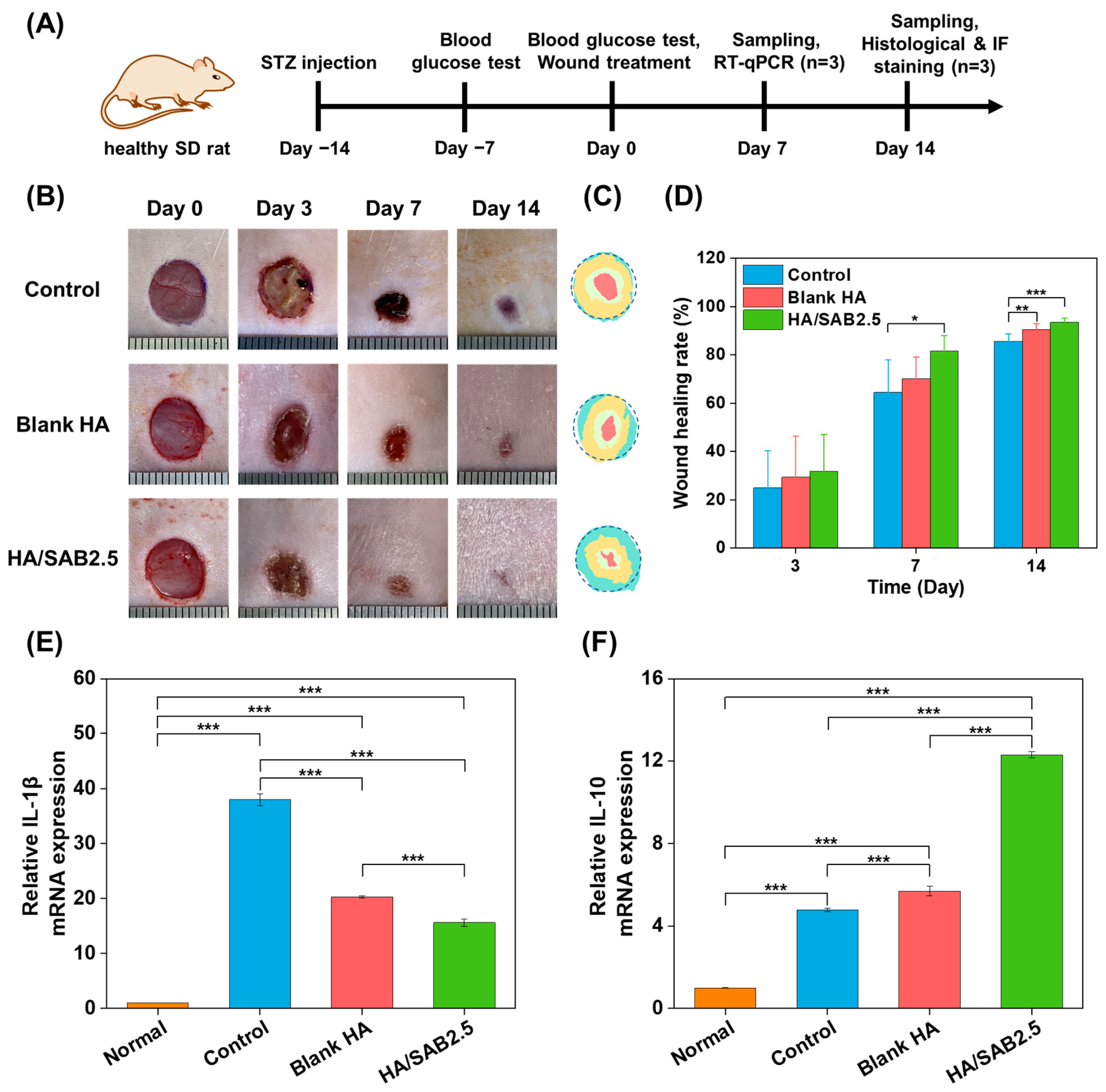 Ijms 24 06844 g005 Ijms 24 06844 g005