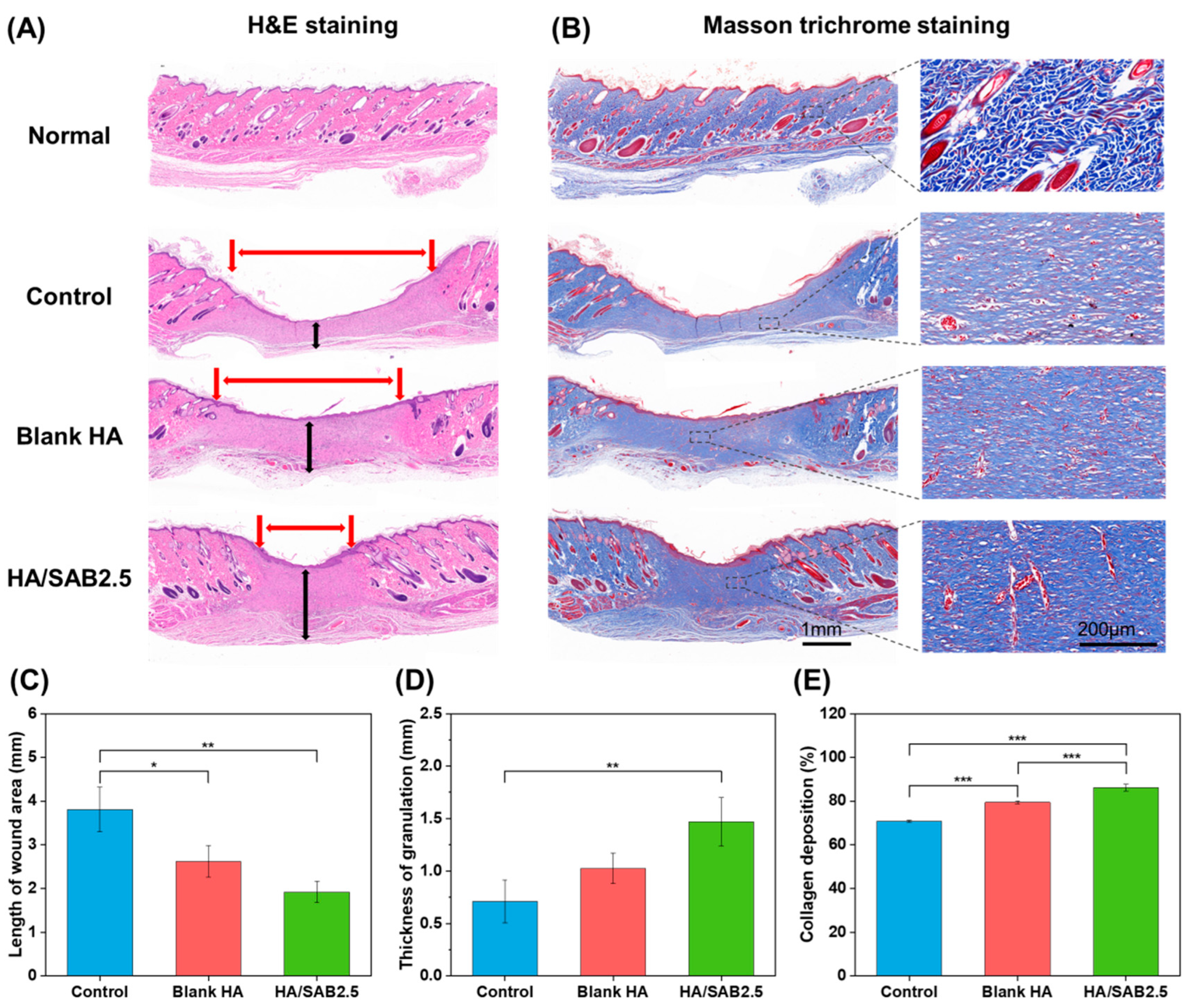 Ijms 24 06844 g006 Ijms 24 06844 g006