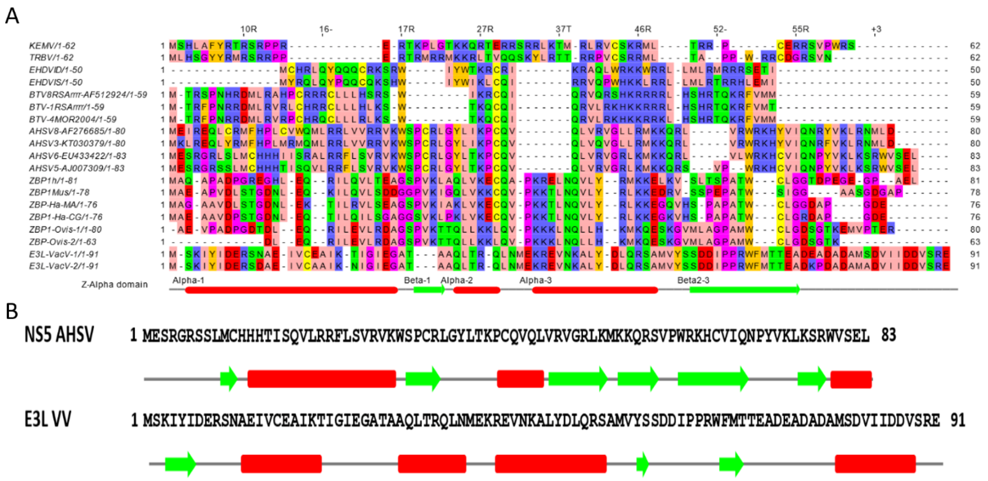 Ijms 24 06845 g004 Ijms 24 06845 g004