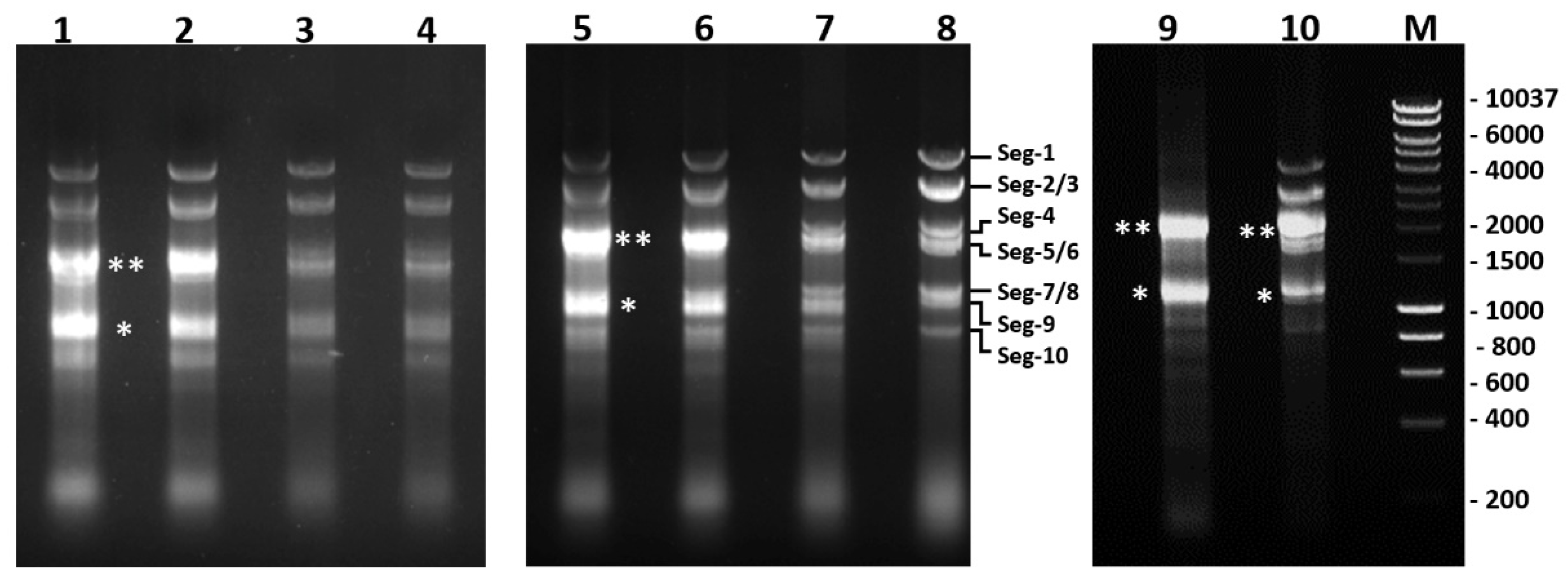 Ijms 24 06845 g014 Ijms 24 06845 g014