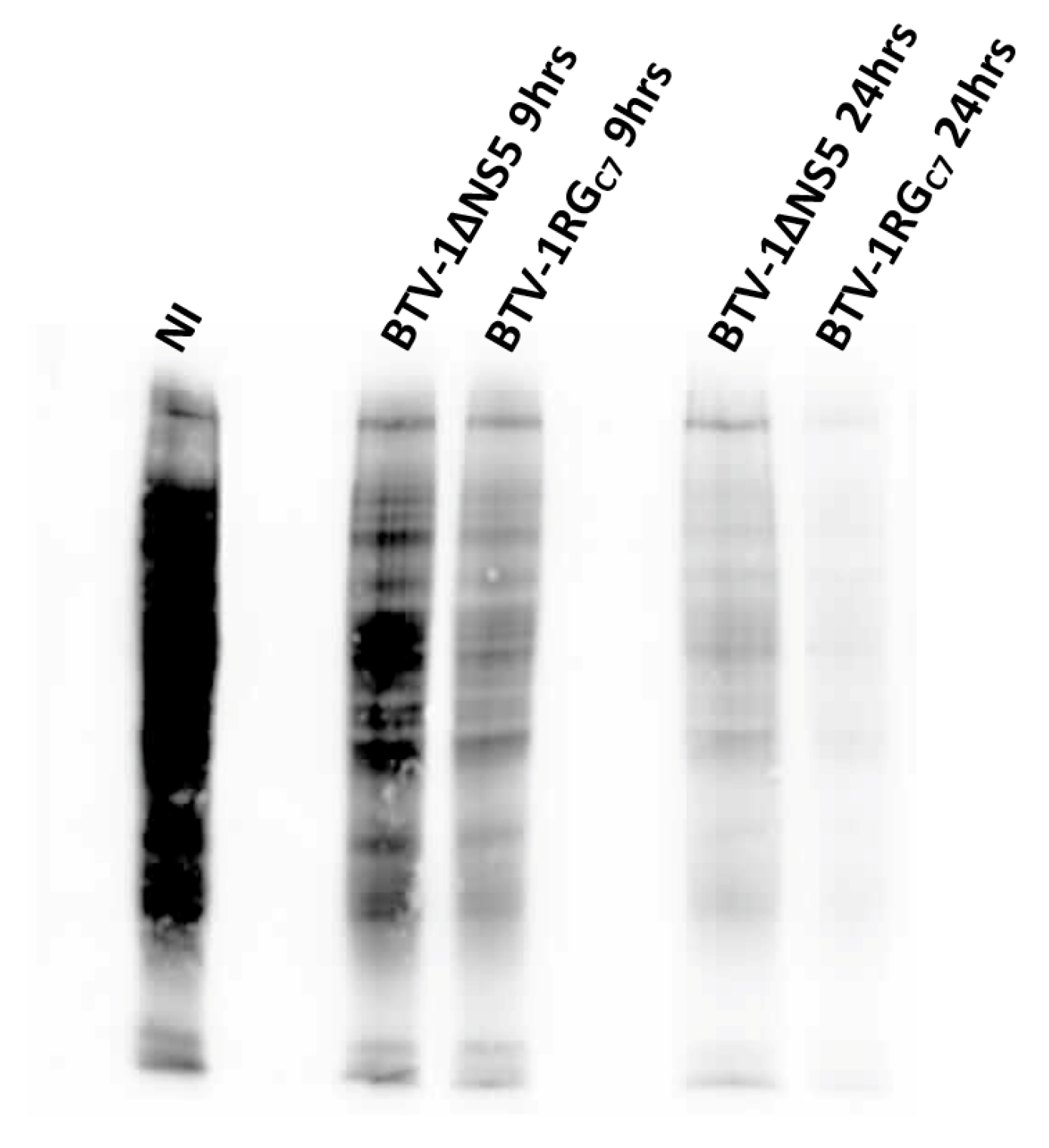 Ijms 24 06845 g016 Ijms 24 06845 g016