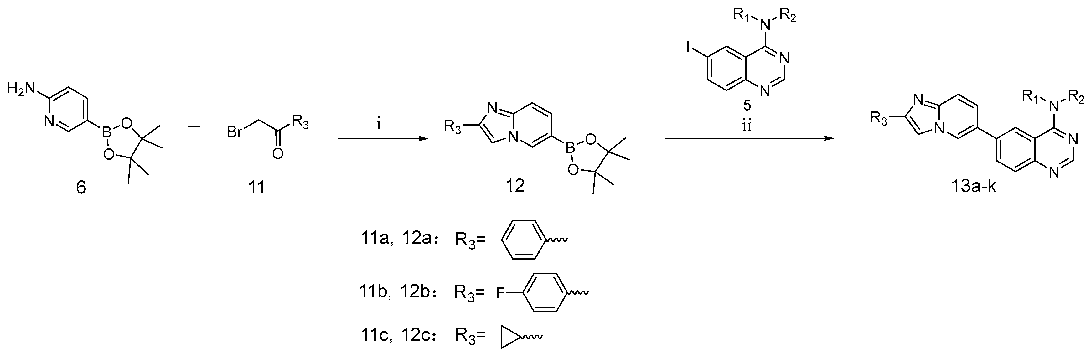Ijms 24 06851 sch003