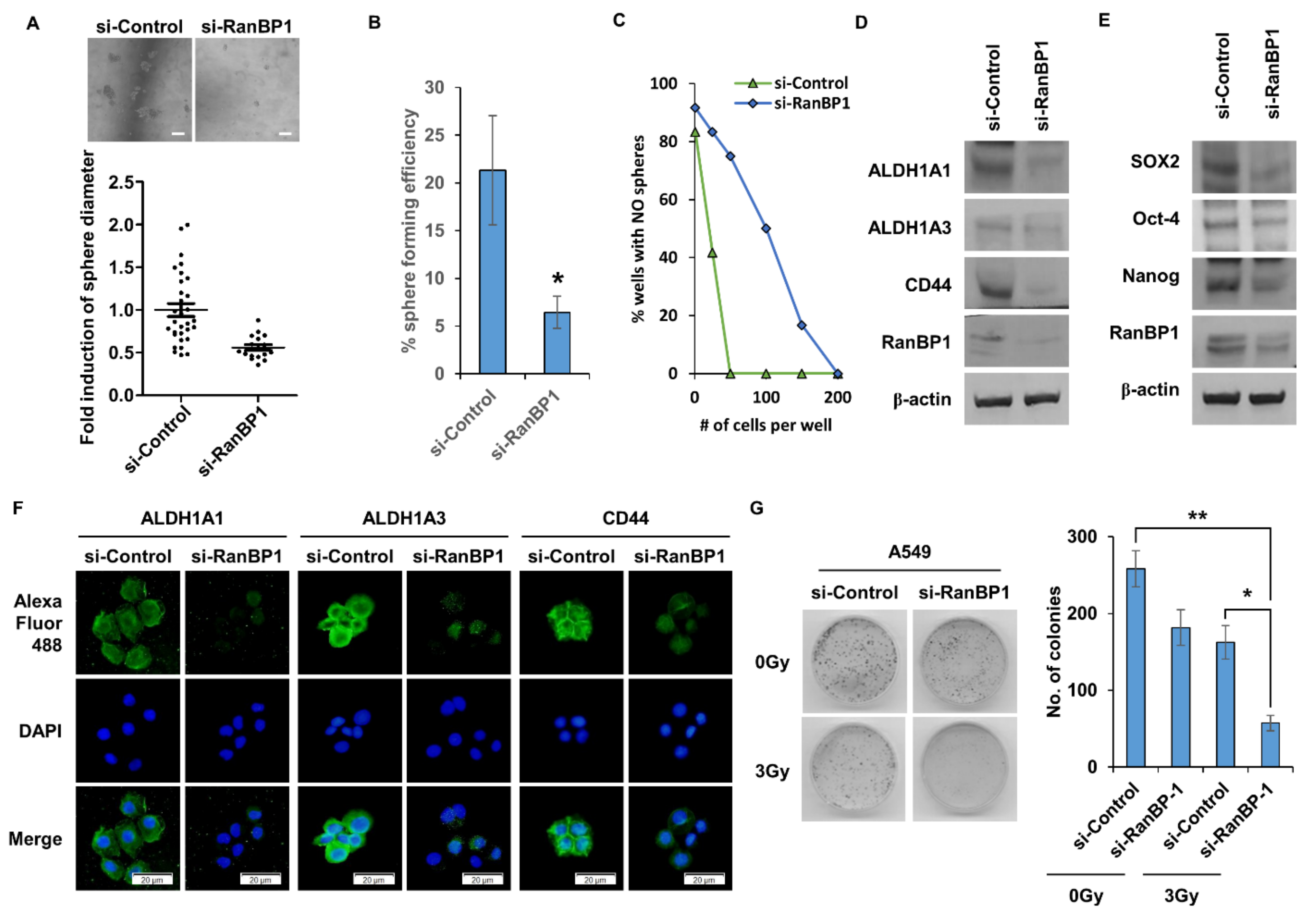 Ijms 24 06855 g002 550