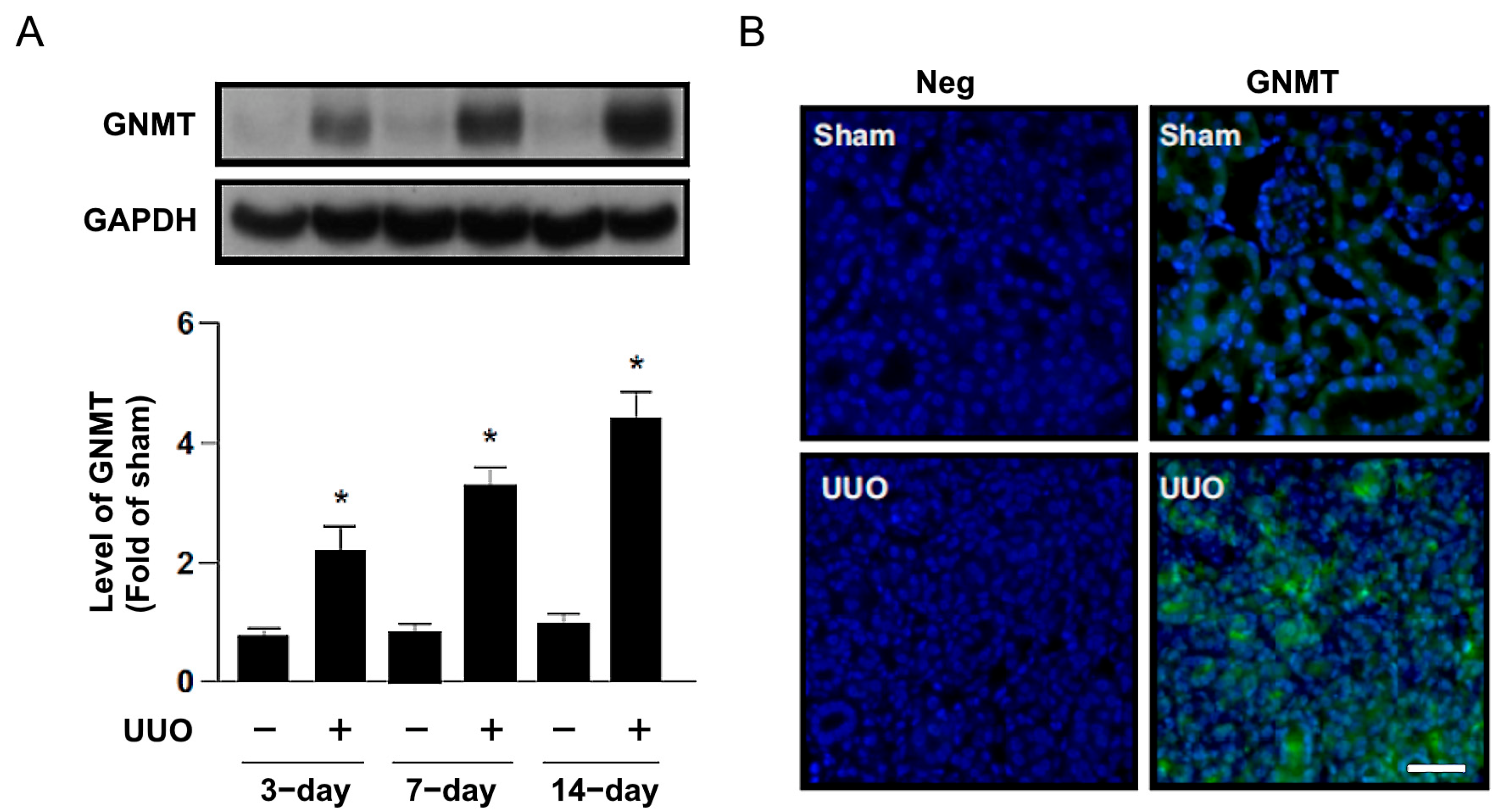Ijms 24 06859 g002 Ijms 24 06859 g002